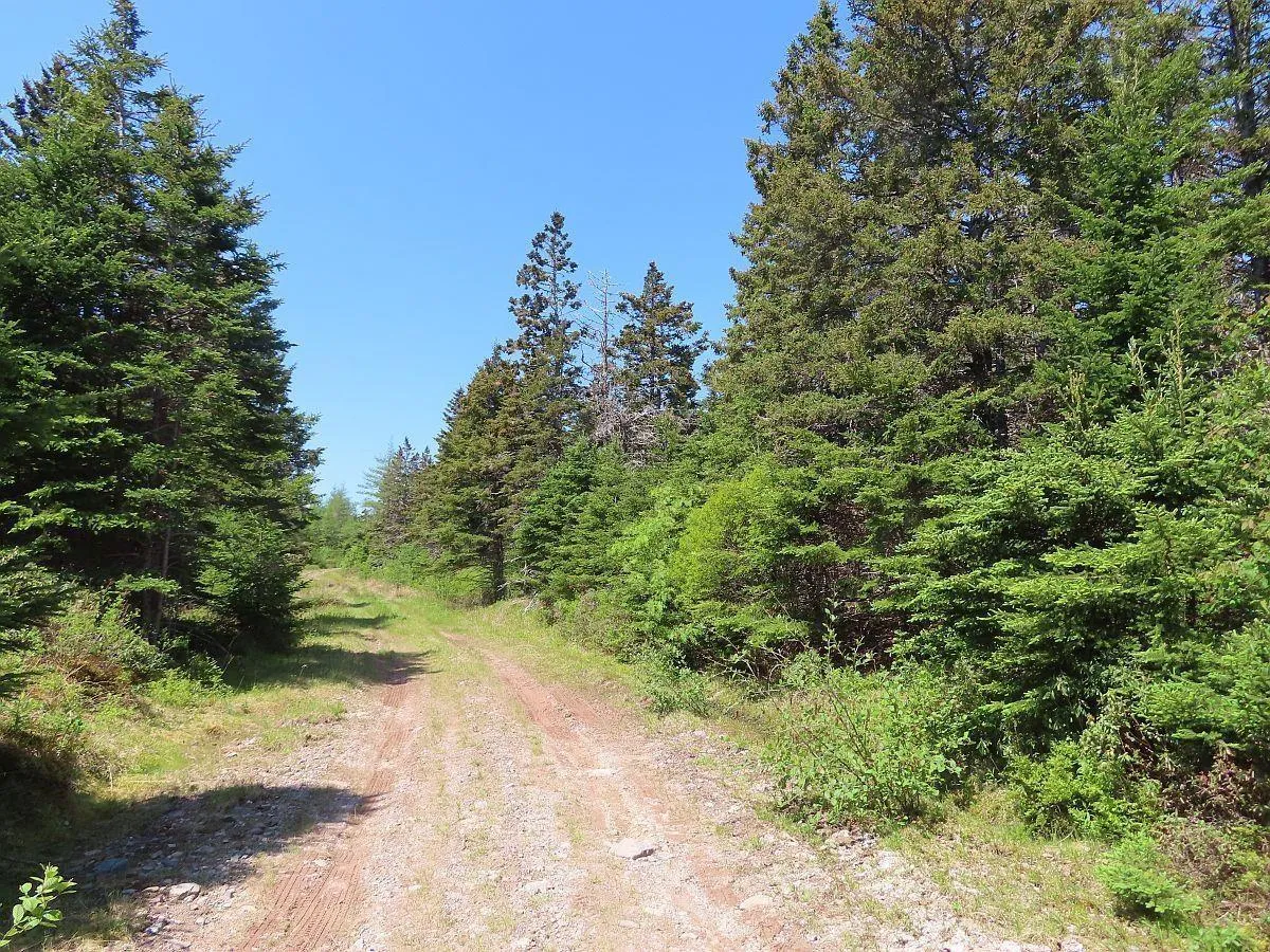 28 Acres Upper Grand Mira Road, Upper Grand Mira, NS B1K 1M1, ,Land,For Sale,Upper Grand Mira,202513002