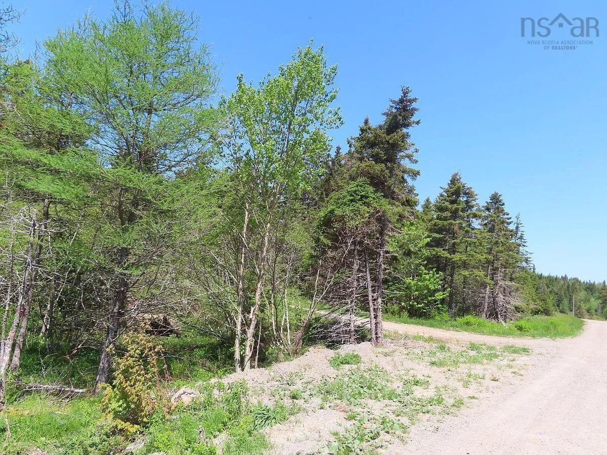 28 Acres Upper Grand Mira Road, Upper Grand Mira, NS B1K 1M1, ,Land,For Sale,Upper Grand Mira,202513002
