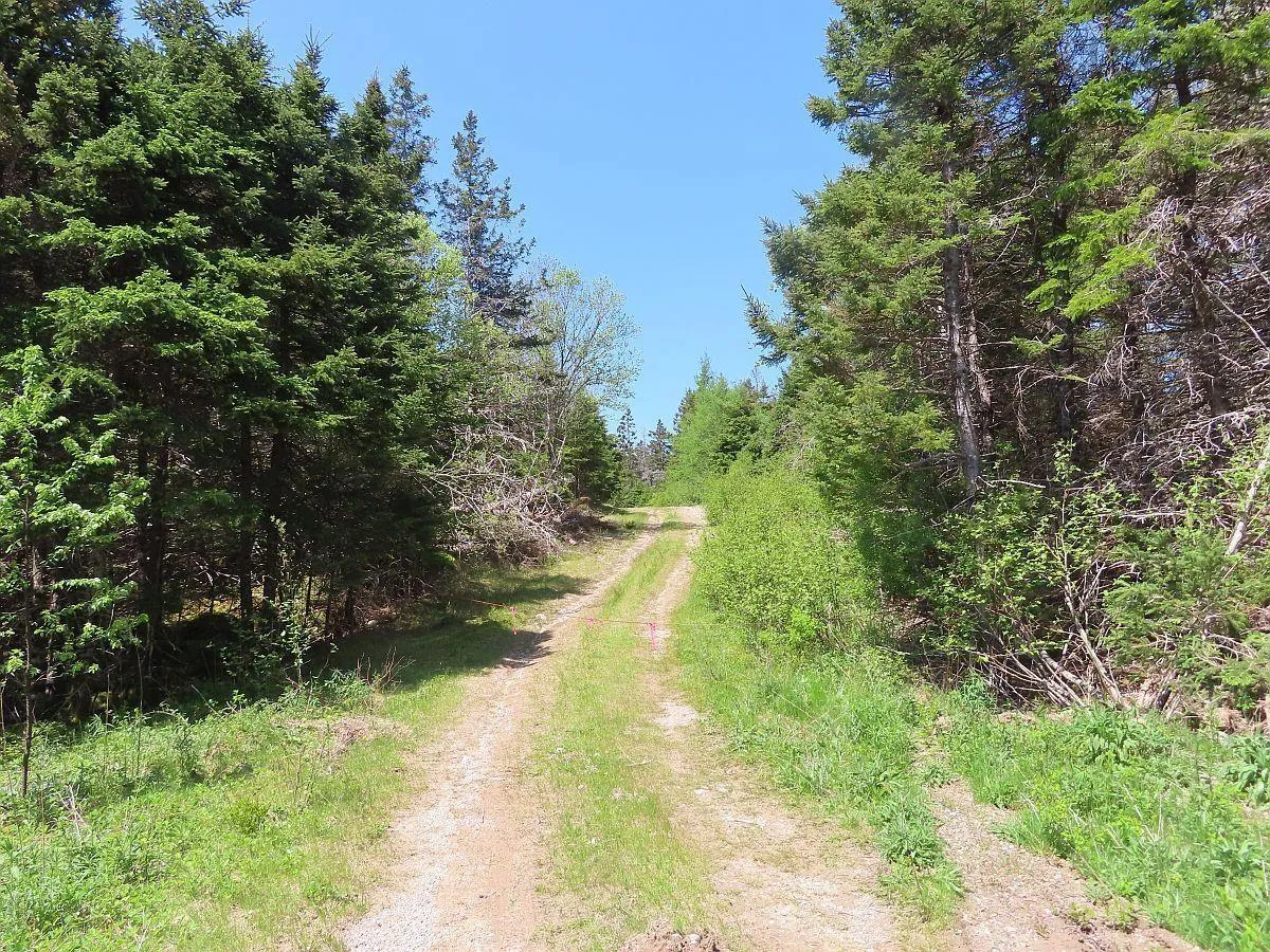 28 Acres Upper Grand Mira Road, Upper Grand Mira, NS B1K 1M1, ,Land,For Sale,Upper Grand Mira,202513002