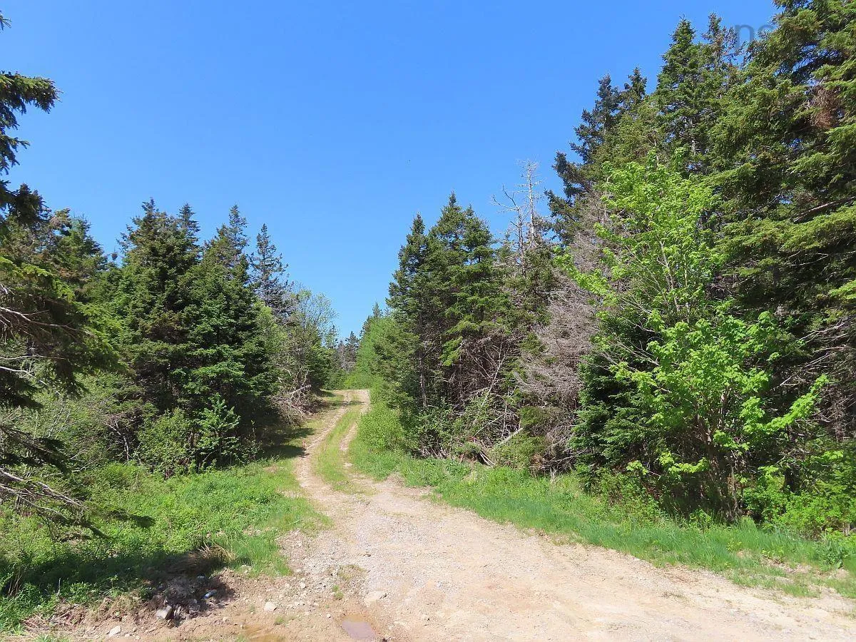 28 Acres Upper Grand Mira Road, Upper Grand Mira, NS B1K 1M1, ,Land,For Sale,Upper Grand Mira,202513002
