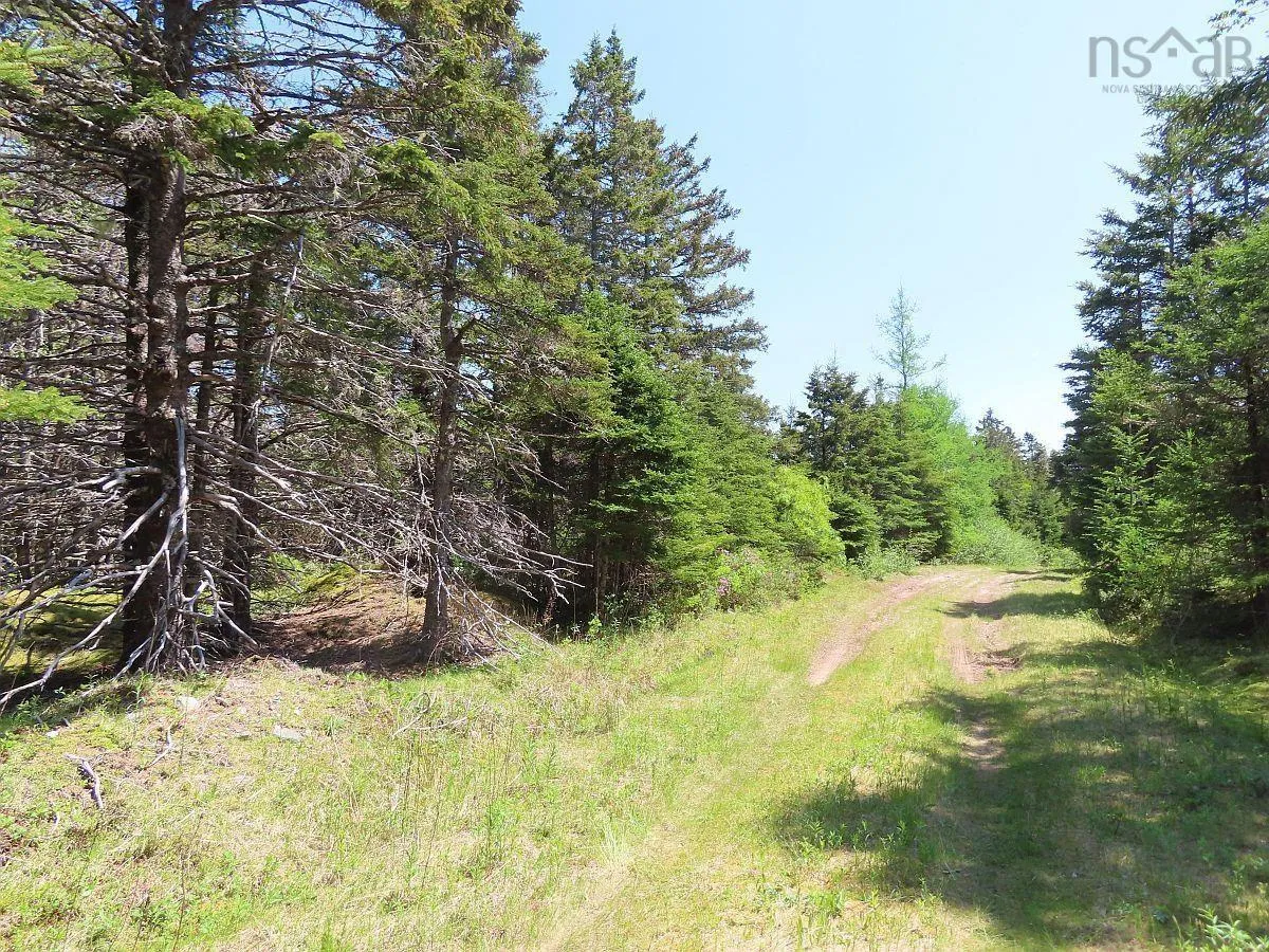 28 Acres Upper Grand Mira Road, Upper Grand Mira, NS B1K 1M1, ,Land,For Sale,Upper Grand Mira,202513002