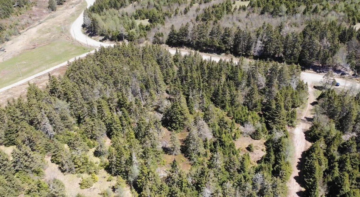 28 Acres Upper Grand Mira Road, Upper Grand Mira, NS B1K 1M1, ,Land,For Sale,Upper Grand Mira,202513002