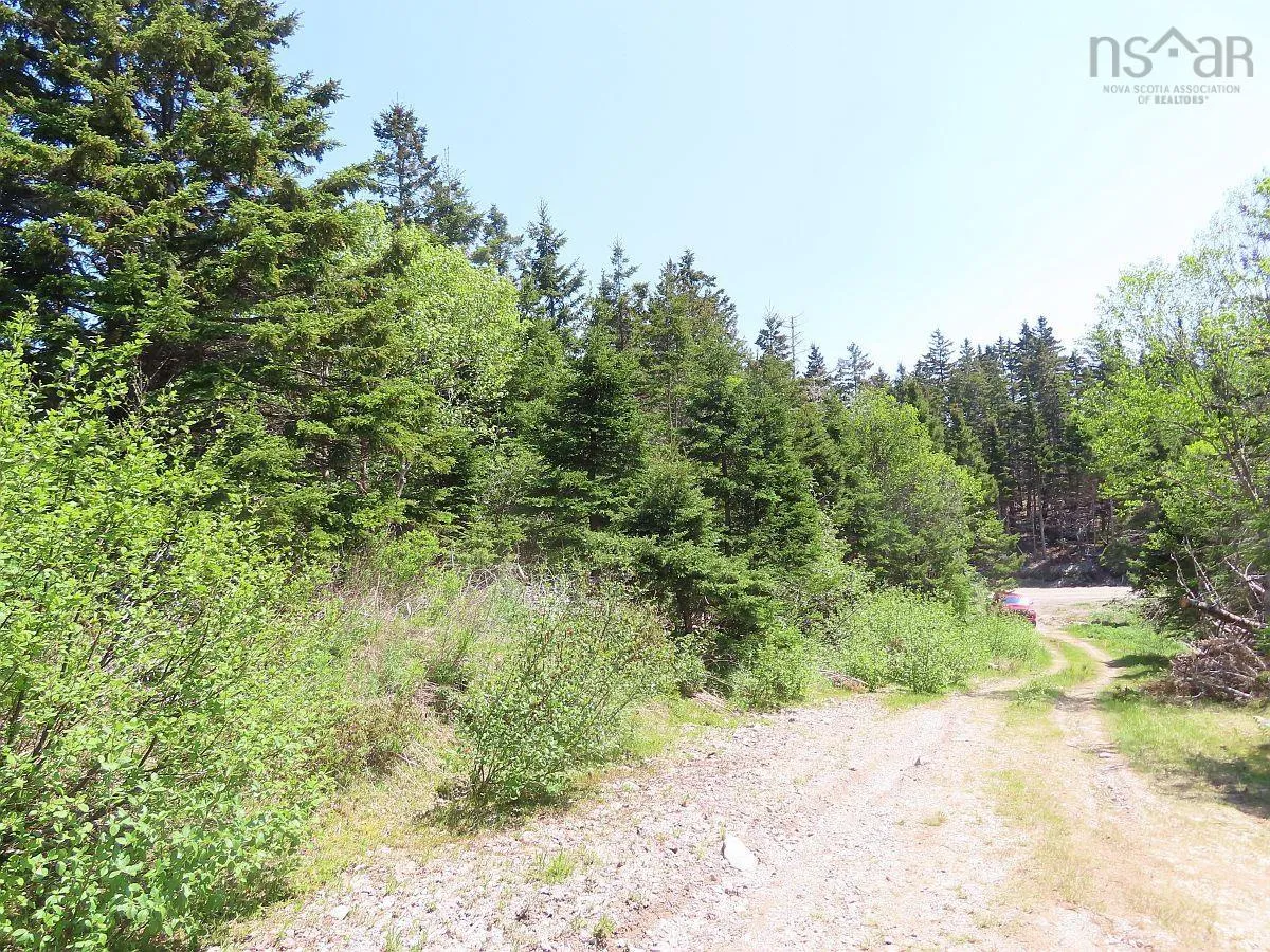 28 Acres Upper Grand Mira Road, Upper Grand Mira, NS B1K 1M1, ,Land,For Sale,Upper Grand Mira,202513002