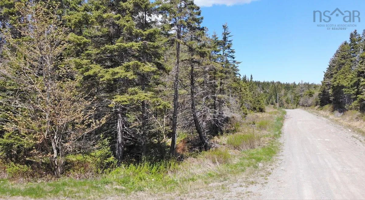 28 Acres Upper Grand Mira Road, Upper Grand Mira, NS B1K 1M1, ,Land,For Sale,Upper Grand Mira,202513002