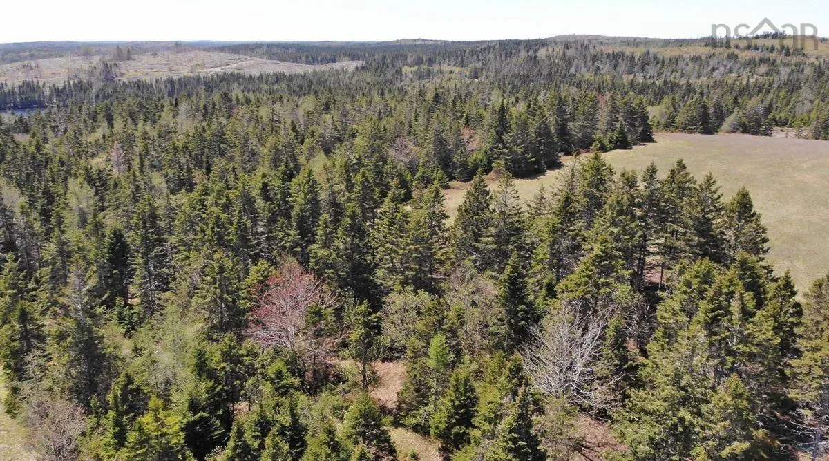 28 Acres Upper Grand Mira Road, Upper Grand Mira, NS B1K 1M1, ,Land,For Sale,Upper Grand Mira,202513002