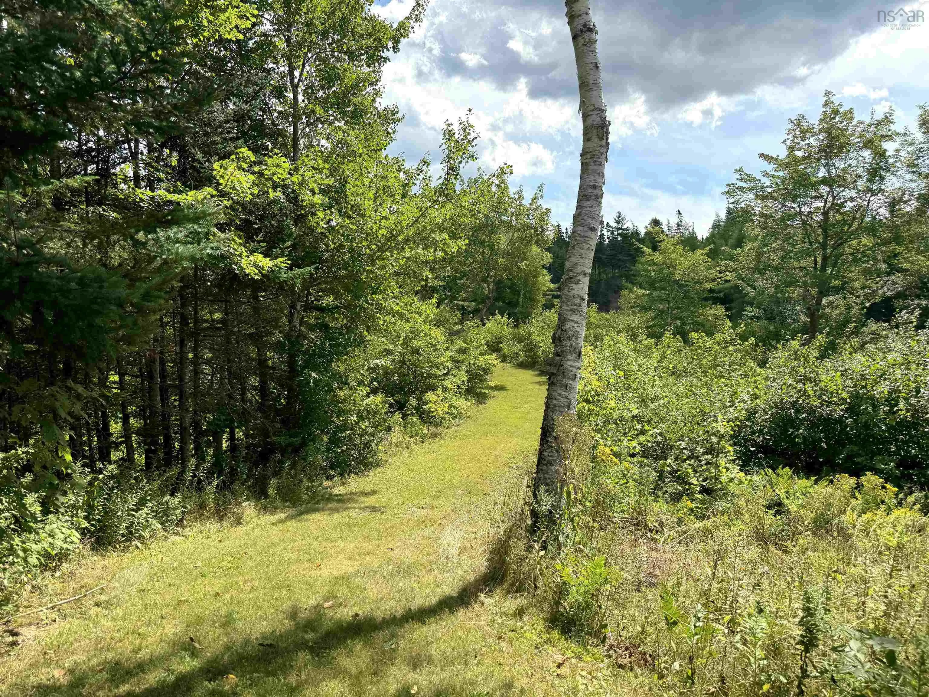 215 Helmuts Lane, Cleveland, NS B0E 1J0, 4 Bedrooms Bedrooms, ,3 BathroomsBathrooms,Residential,For Sale,Helmuts,202511602