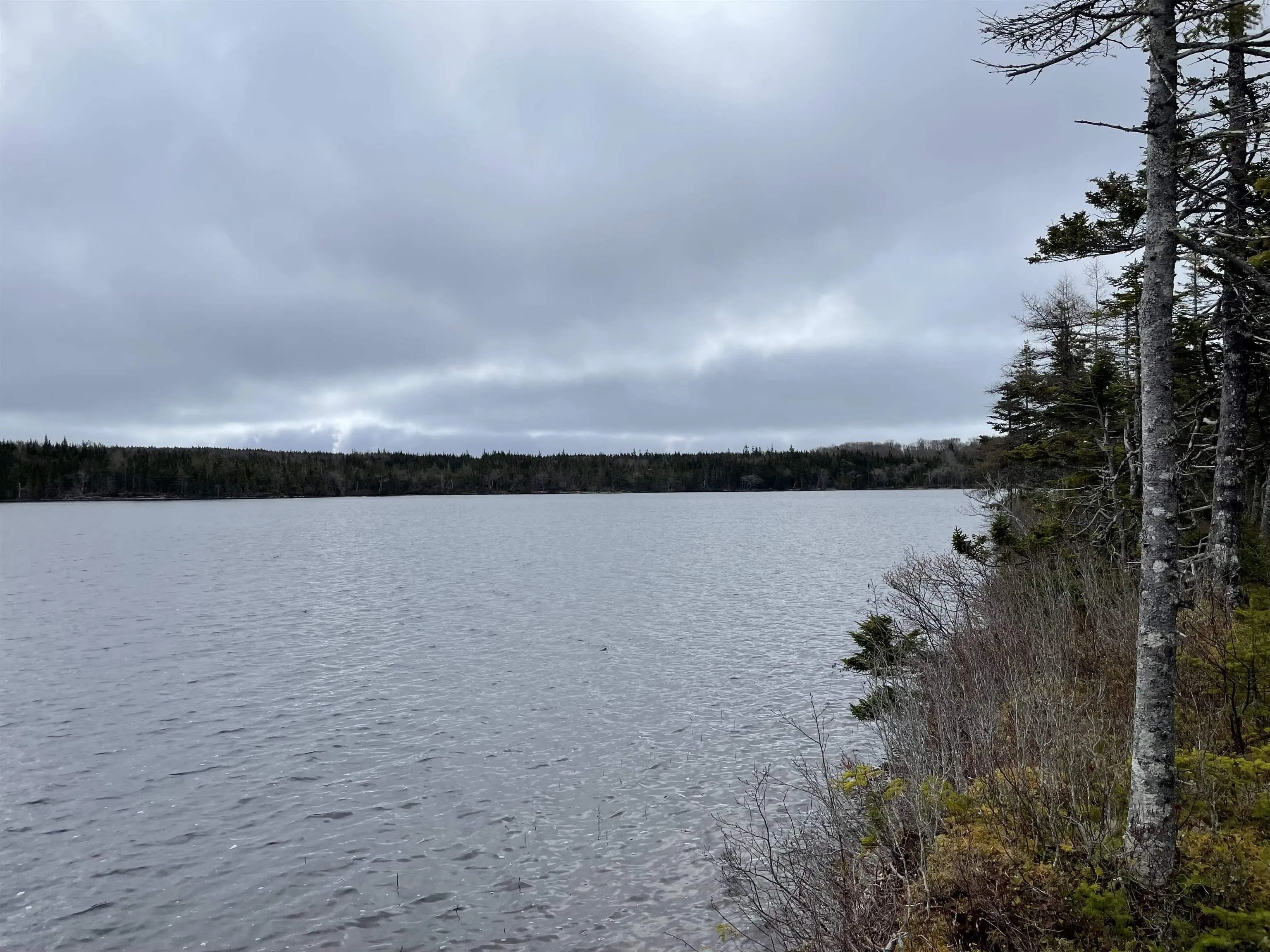 Bjoern Seelhorst Drive Lot 17, French Road Ns B1k 0b1, ,Land,For Sale,Bjoern Seelhorst,202413218