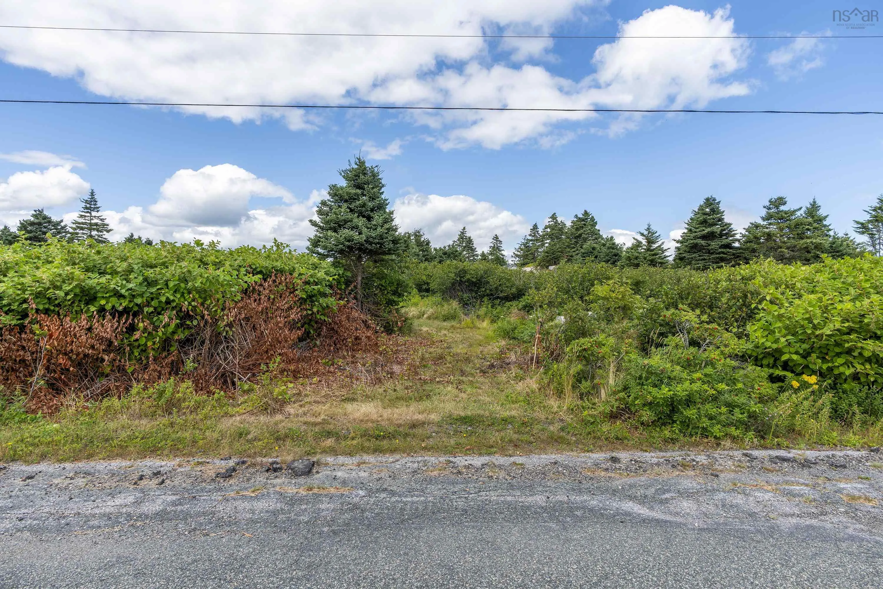 Drum Head Road Lot 80, Drumhead, NS B0H 1L0, ,Land,For Sale,Drum Head,202521007