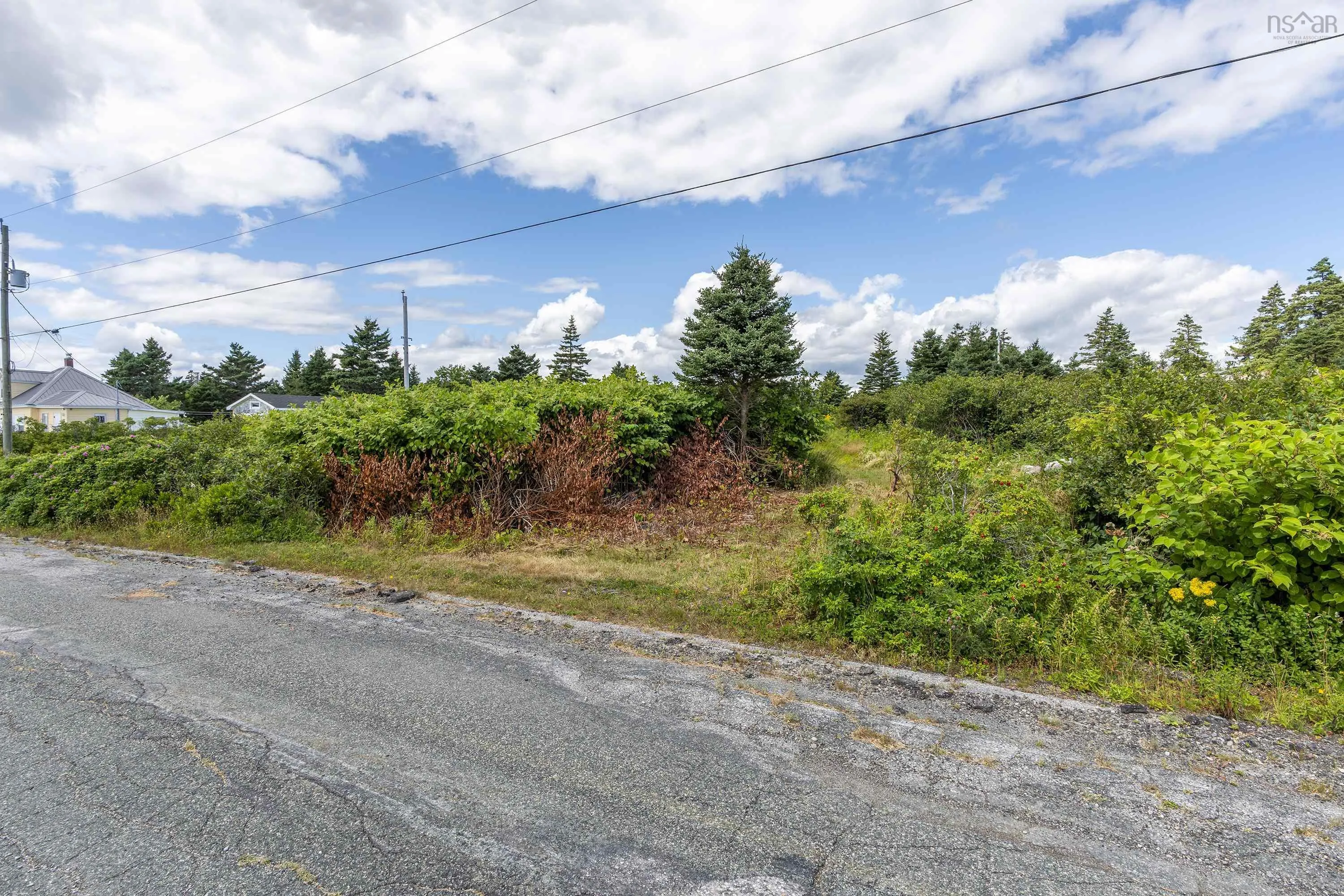 Drum Head Road Lot 80, Drumhead, NS B0H 1L0, ,Land,For Sale,Drum Head,202521007