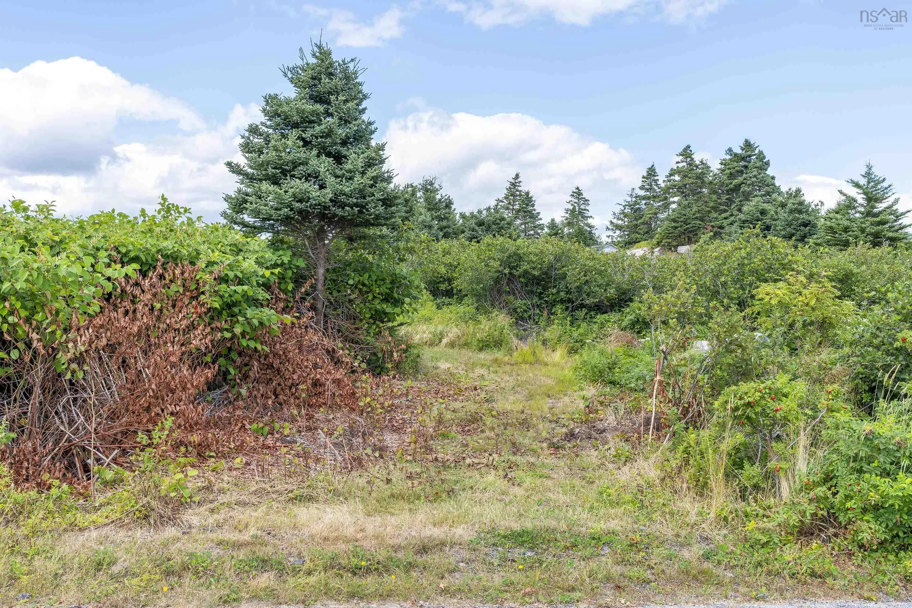 Drum Head Road Lot 80, Drumhead, NS B0H 1L0, ,Land,For Sale,Drum Head,202521007
