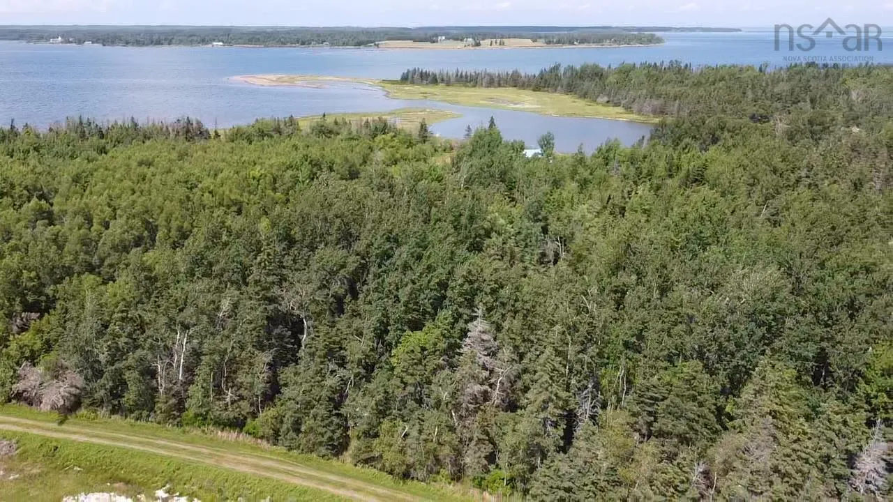354 Horton Point Road, North Shore Ns B0k 1e0, ,Land,For Sale,Horton Point,202506054