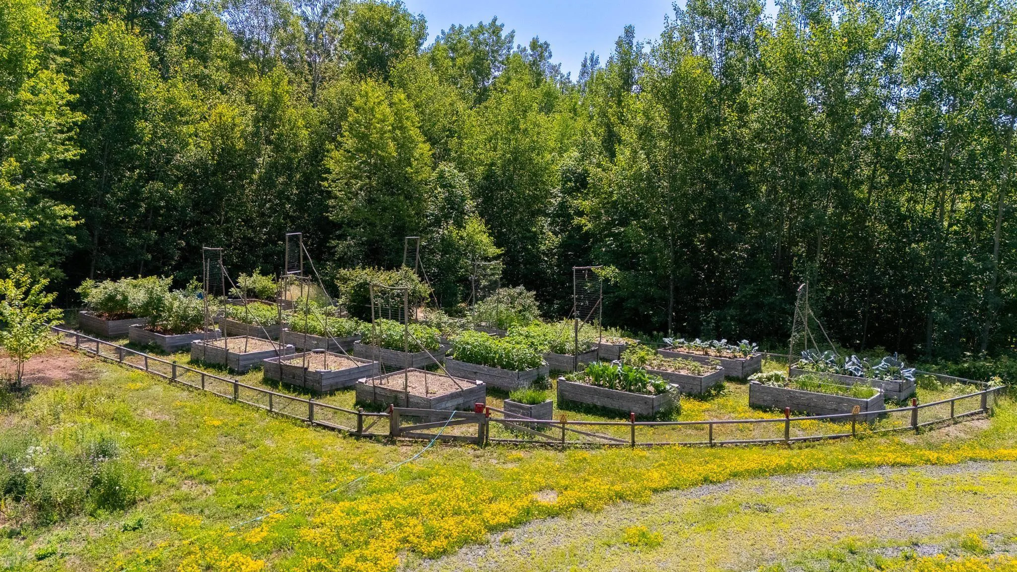 516 Burgess Mountain Road, Woodville, NS B0P 1G0, 3 Bedrooms Bedrooms, ,2 BathroomsBathrooms,Residential,For Sale,Burgess Mountain,202518901