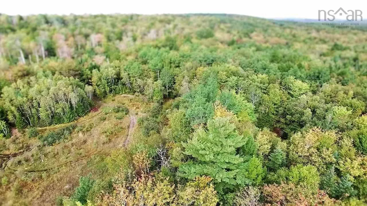 Danny Drive, Beaver Bank, NS B4G 1B2, ,Land,For Sale,Danny,202521395
