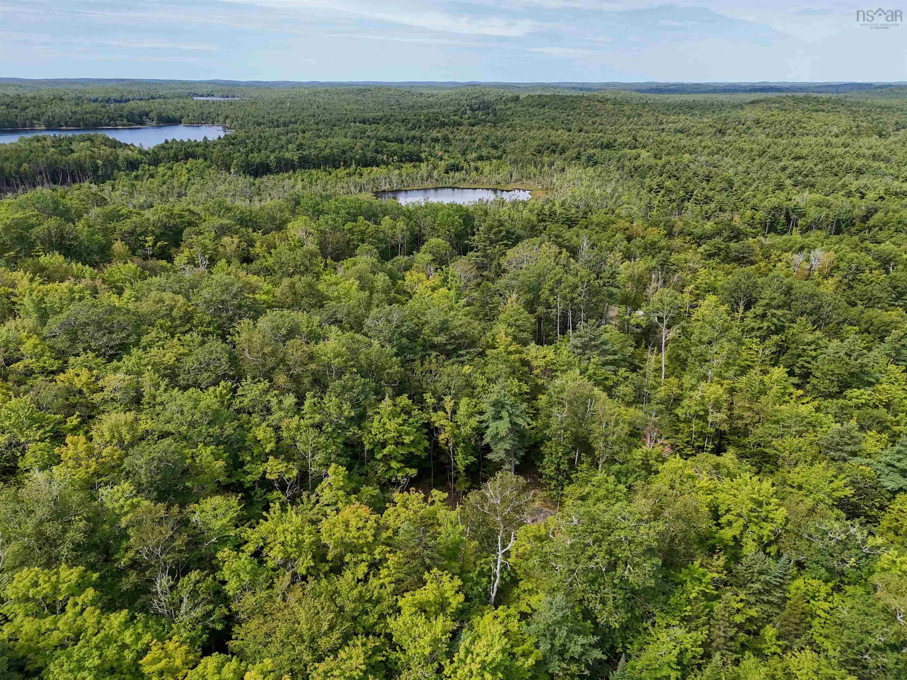 35-142 Uhlman Point Road, Molega North, NS B0T 1X0, ,Land,For Sale,Uhlman Point,202521374