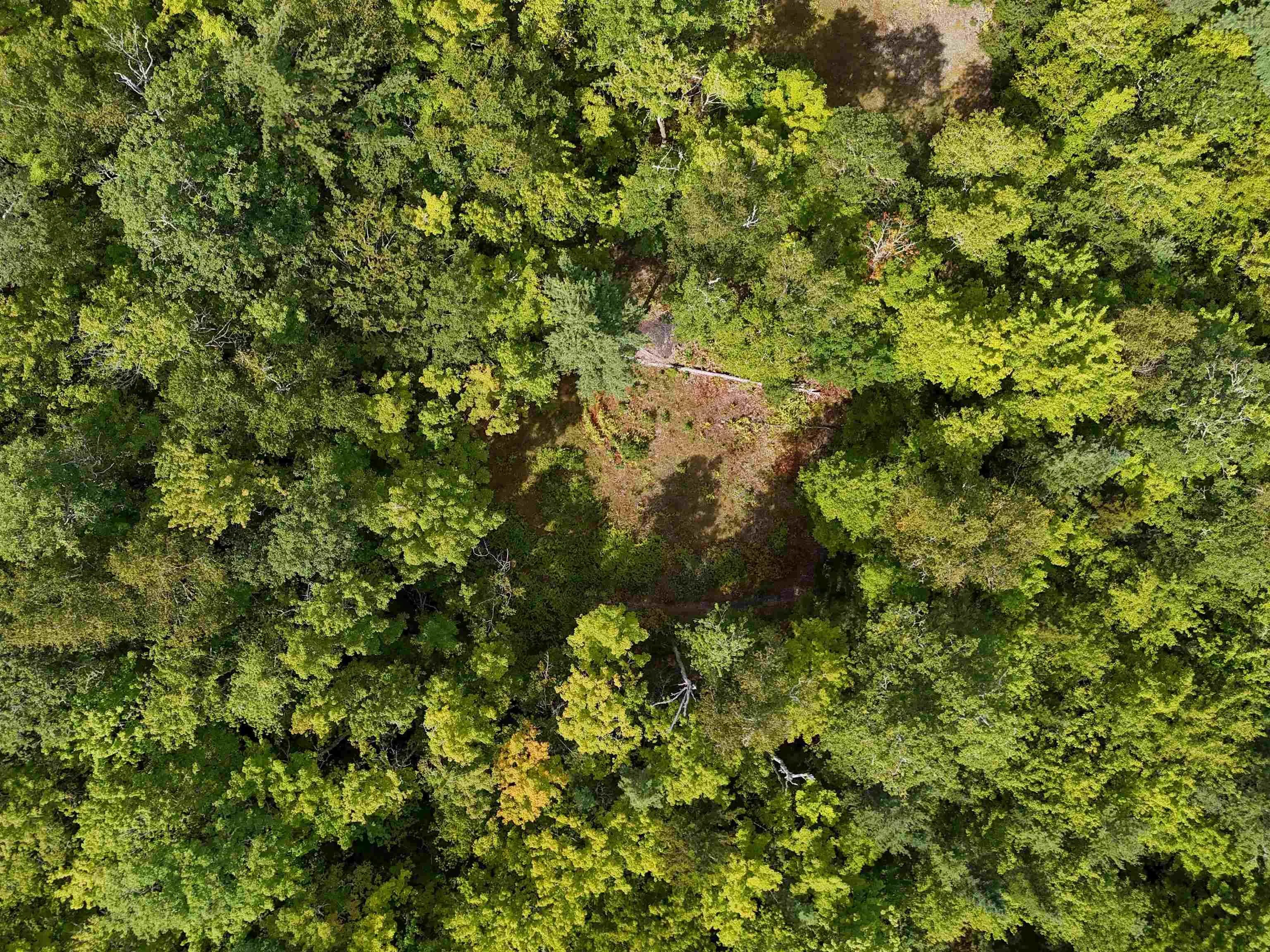 35-142 Uhlman Point Road, Molega North, NS B0T 1X0, ,Land,For Sale,Uhlman Point,202521374