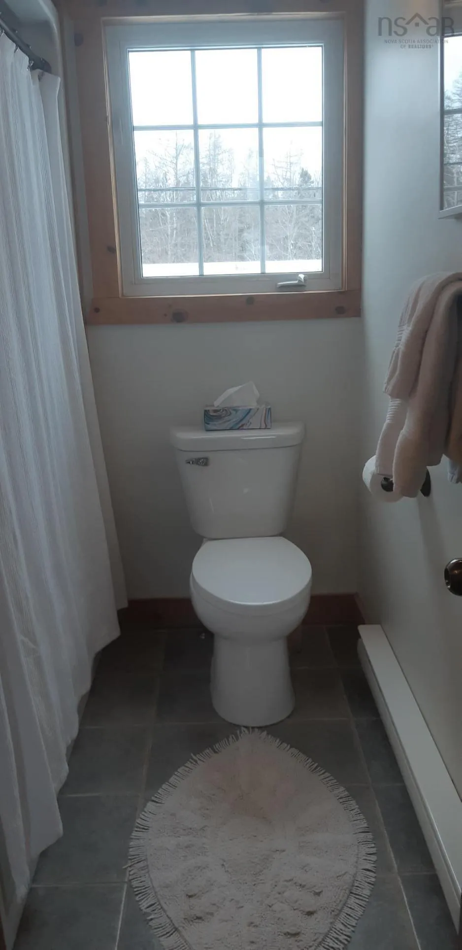 123 French Cove Road, French Cove Ns B0e 3b0, 4 Bedrooms Bedrooms, ,2 BathroomsBathrooms,Residential,For Sale,French Cove,202502716