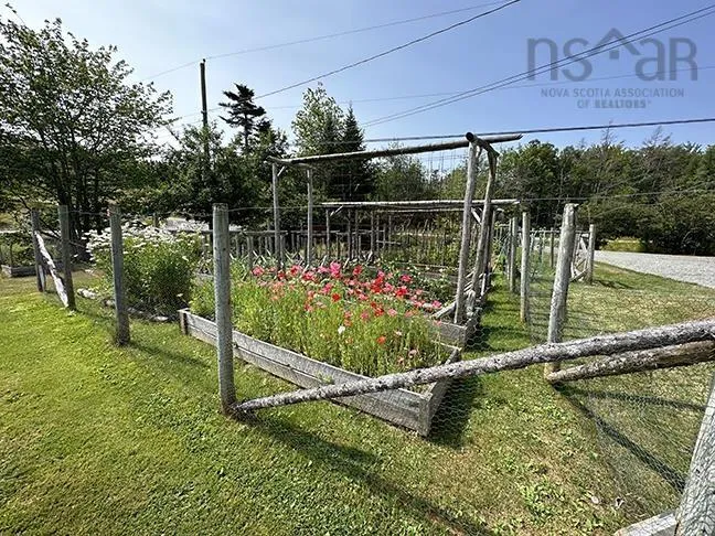 123 French Cove Road, French Cove Ns B0e 3b0, 4 Bedrooms Bedrooms, ,2 BathroomsBathrooms,Residential,For Sale,French Cove,202502716