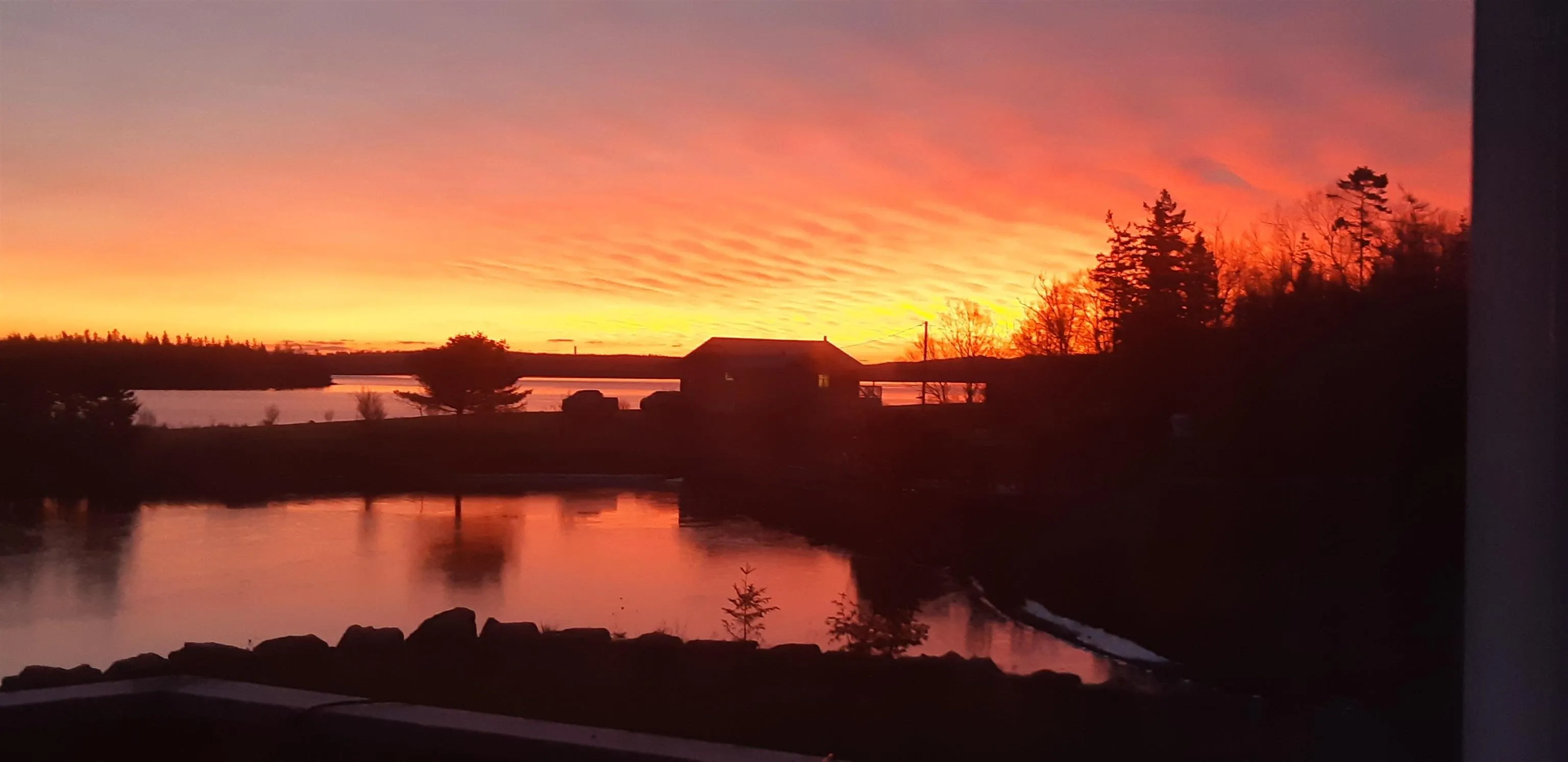 123 French Cove Road, French Cove Ns B0e 3b0, 4 Bedrooms Bedrooms, ,2 BathroomsBathrooms,Residential,For Sale,French Cove,202502716