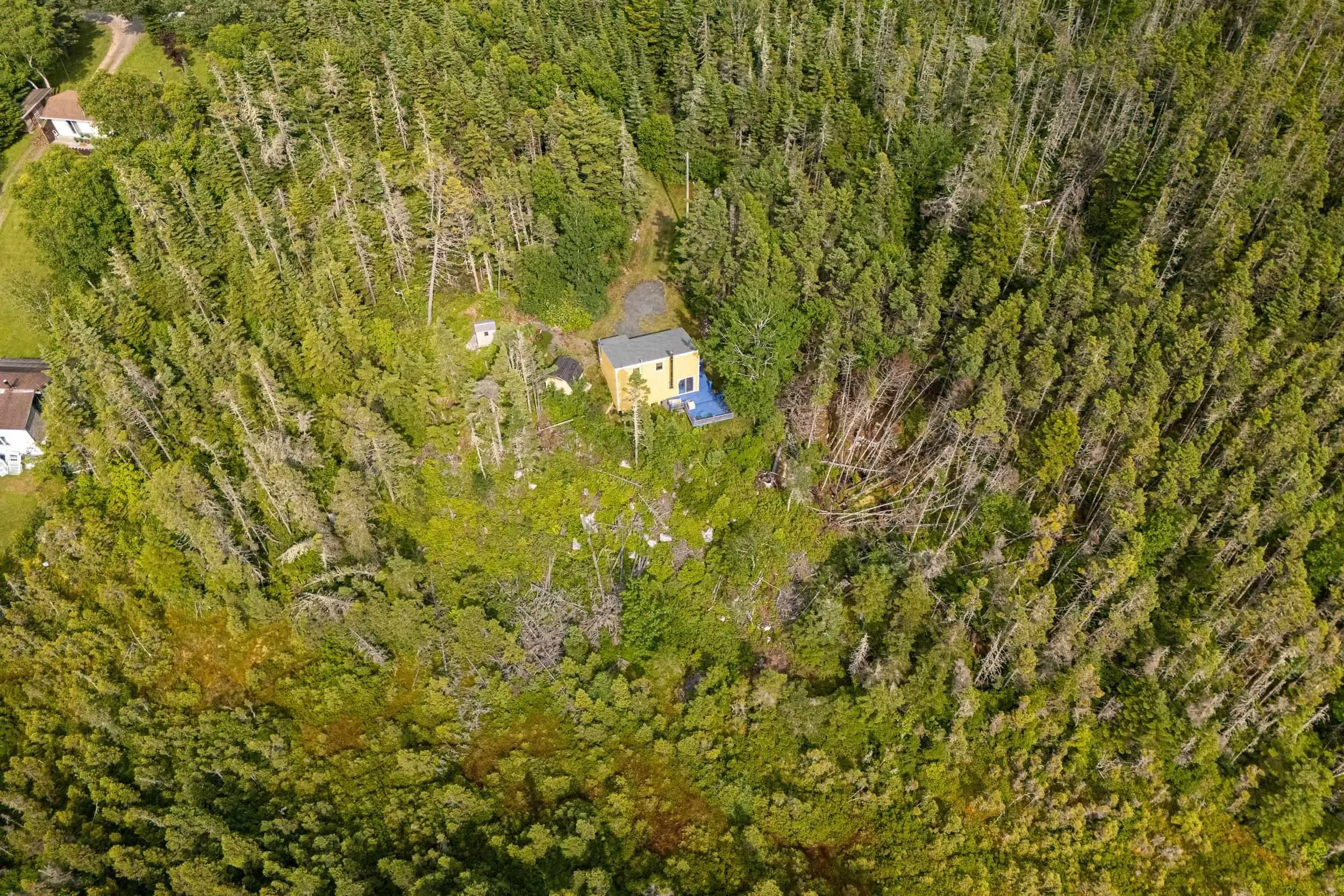80 Paddy's Head Road, Indian Harbour, NS B3Z 3N8, 1 Bedroom Bedrooms, ,1 BathroomBathrooms,Residential,For Sale,Paddy's Head,202517716
