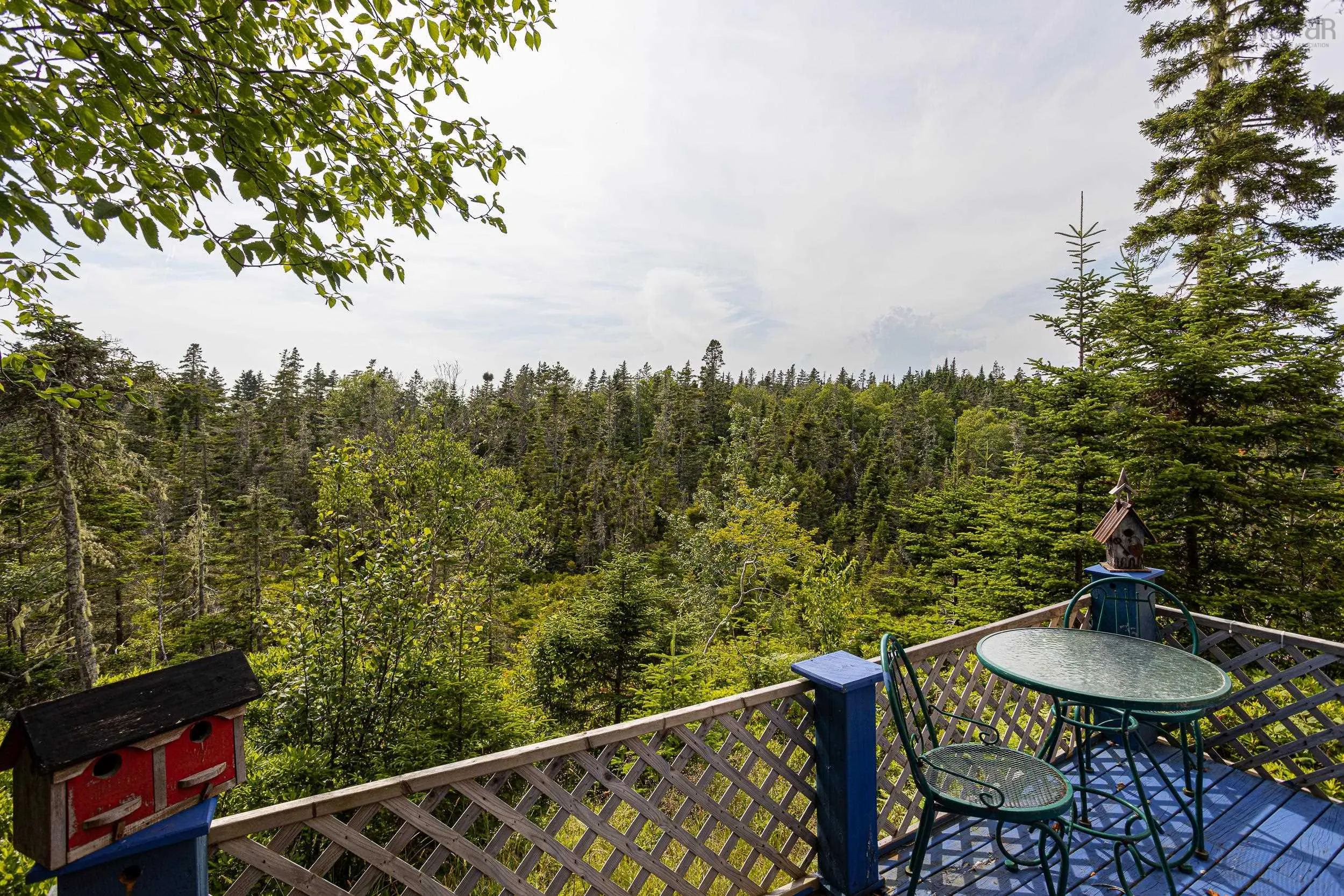 80 Paddy's Head Road, Indian Harbour, NS B3Z 3N8, 1 Bedroom Bedrooms, ,1 BathroomBathrooms,Residential,For Sale,Paddy's Head,202517716