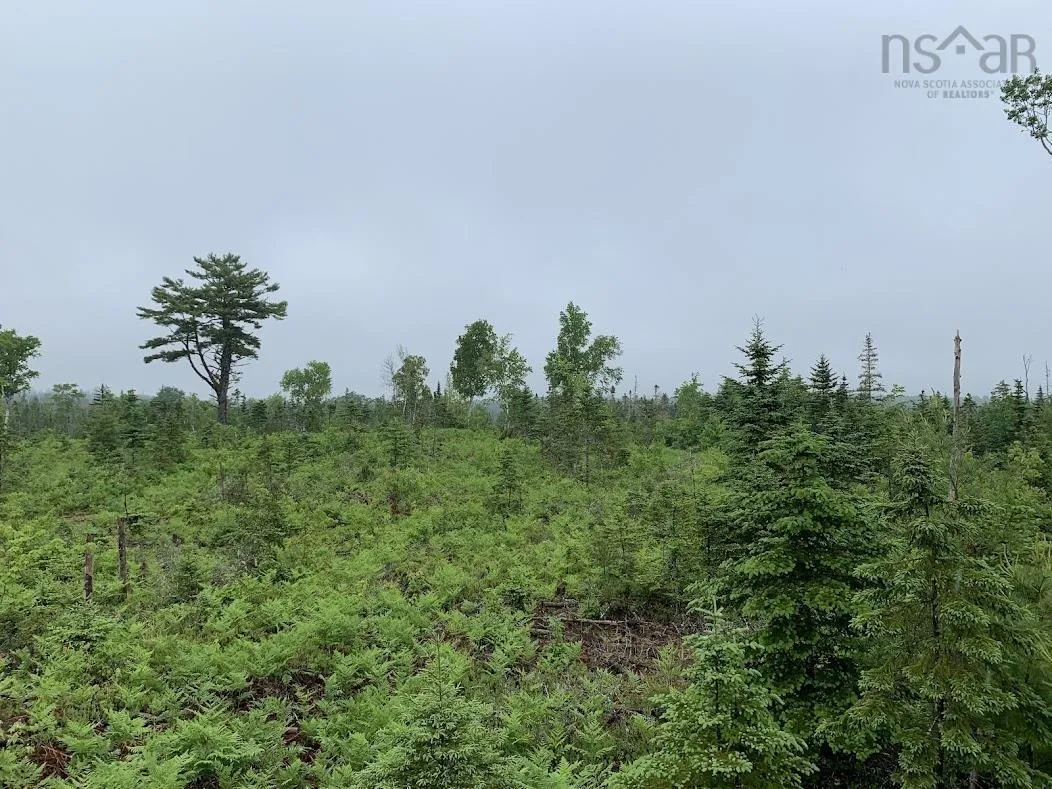 Pleasant River Preserve Lot 3, Pleasant River Ns B0t 1x0, ,Land,For Sale,Pleasant River Preserve,202418571