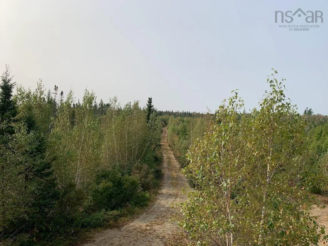 Pleasant River Preserve Lot 3, Pleasant River Ns B0t 1x0, ,Land,For Sale,Pleasant River Preserve,202418571
