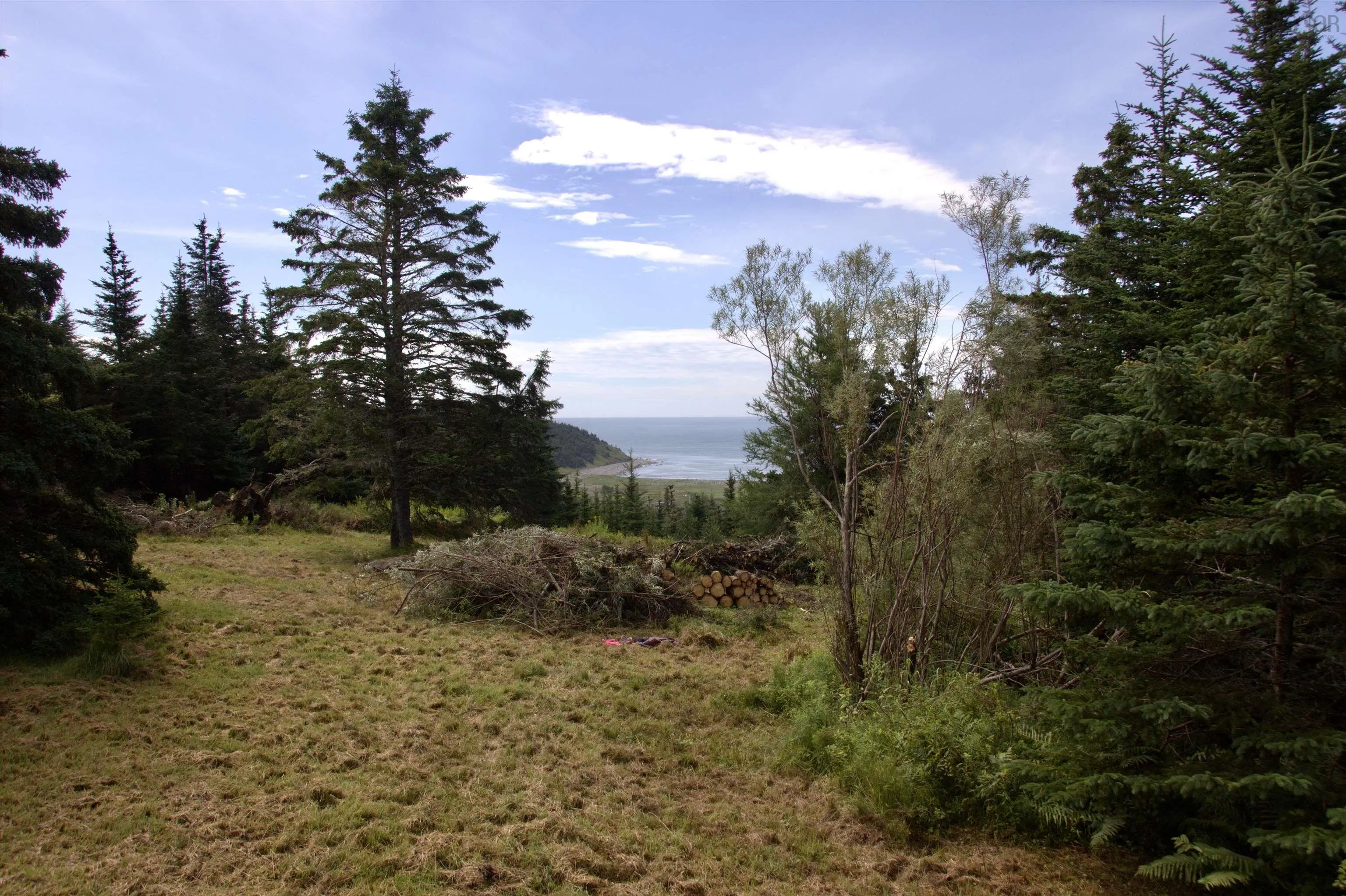 0 Oceanic Drive, East Lawrencetown Ns B2z 1p4, ,Land,For Sale,Oceanic,202507710