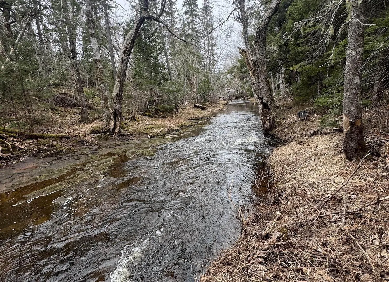 Lake Road Lot 6, Wentworth, NS B0M 1Z0, ,Land,For Sale,Lake,202518608