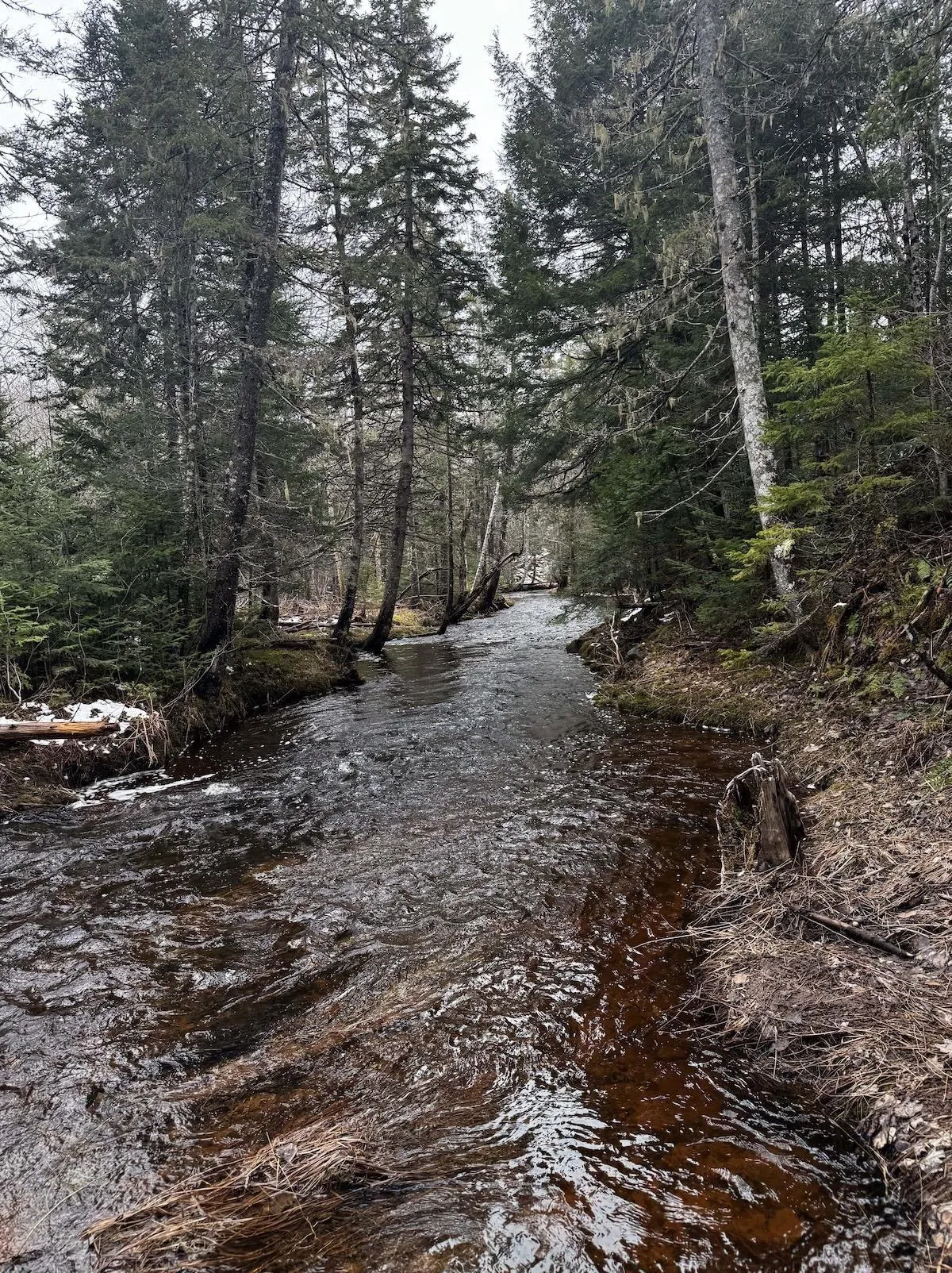Lake Road Lot 6, Wentworth, NS B0M 1Z0, ,Land,For Sale,Lake,202518608
