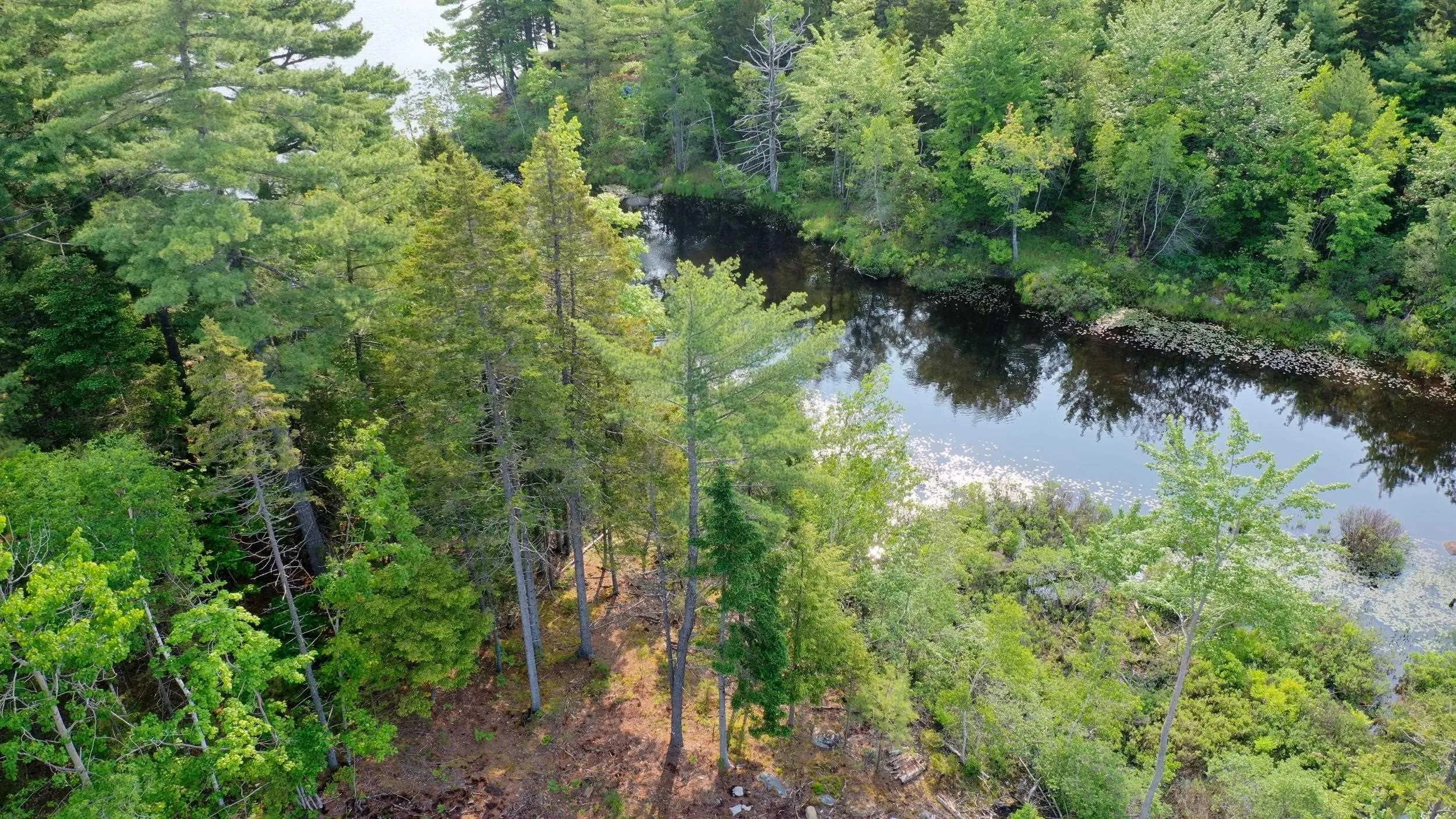 100 Brookside Drive, Dayspring, NS B4V 5R6, ,Land,For Sale,Brookside,202521266