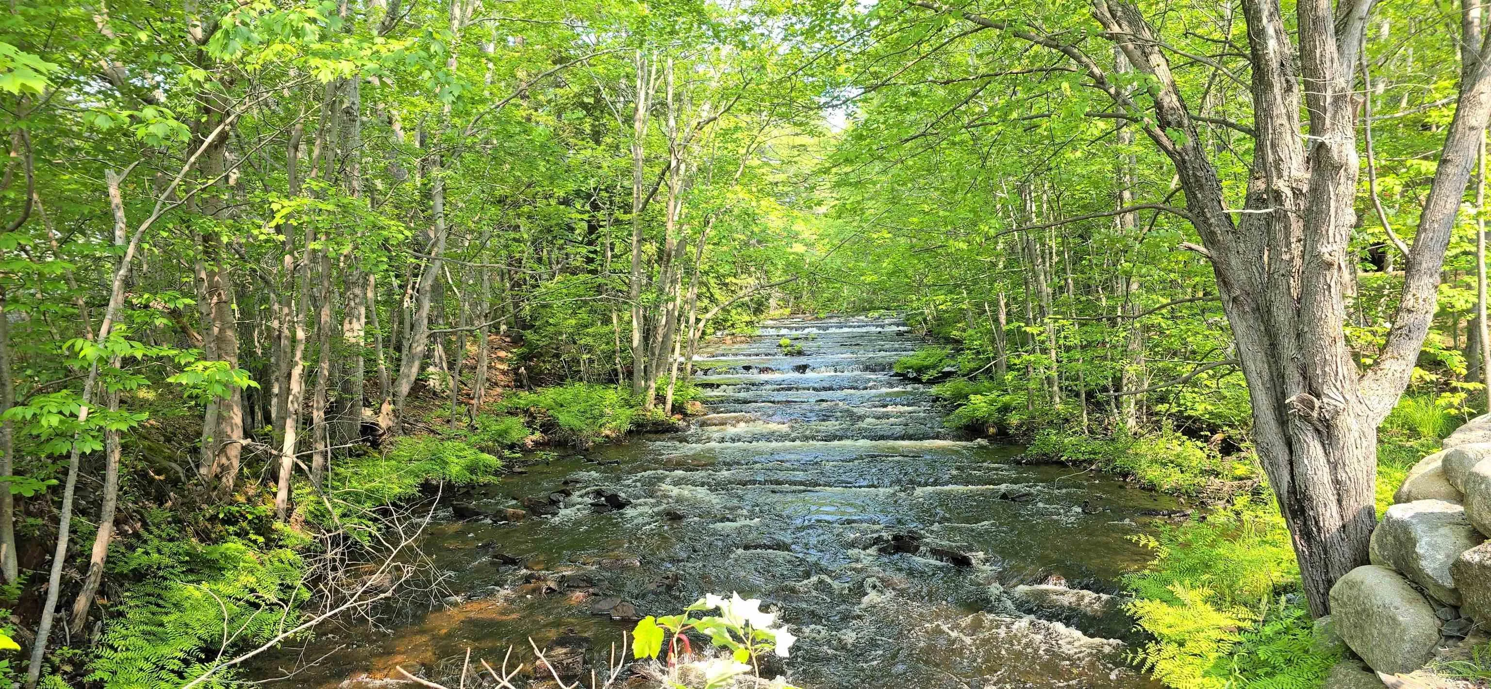 100 Brookside Drive, Dayspring, NS B4V 5R6, ,Land,For Sale,Brookside,202521266