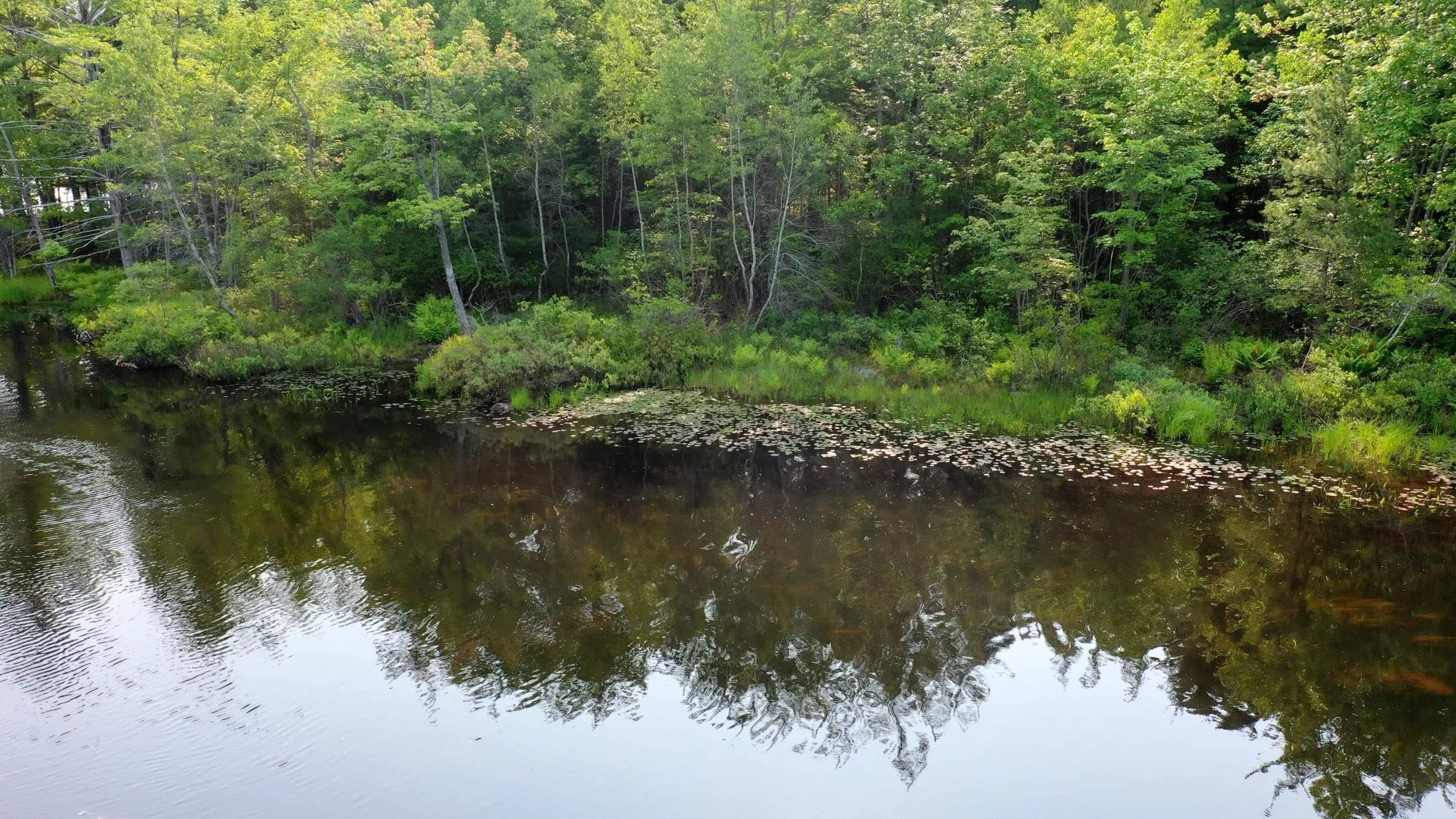 100 Brookside Drive, Dayspring, NS B4V 5R6, ,Land,For Sale,Brookside,202521266
