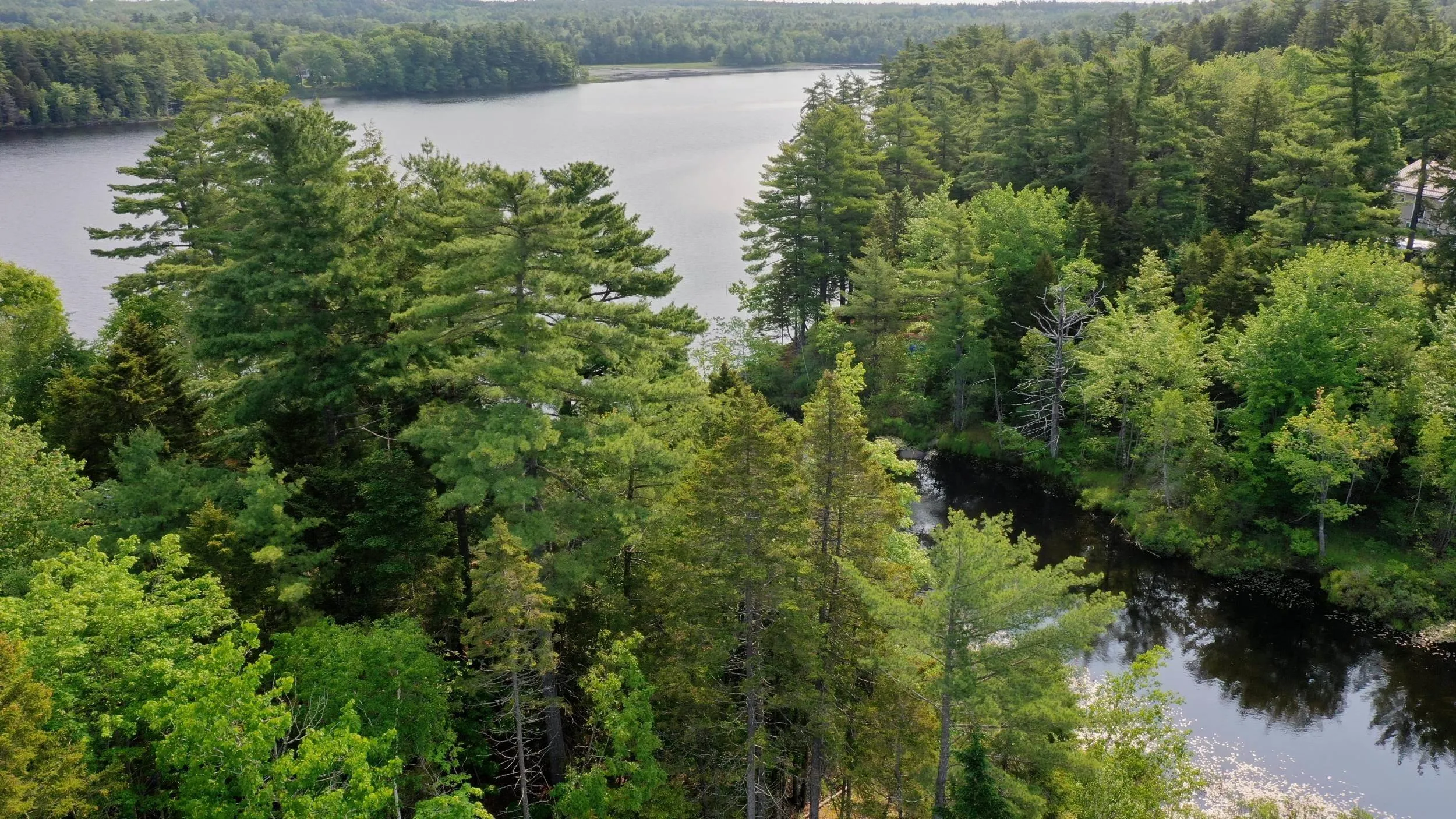 100 Brookside Drive, Dayspring, NS B4V 5R6, ,Land,For Sale,Brookside,202521266