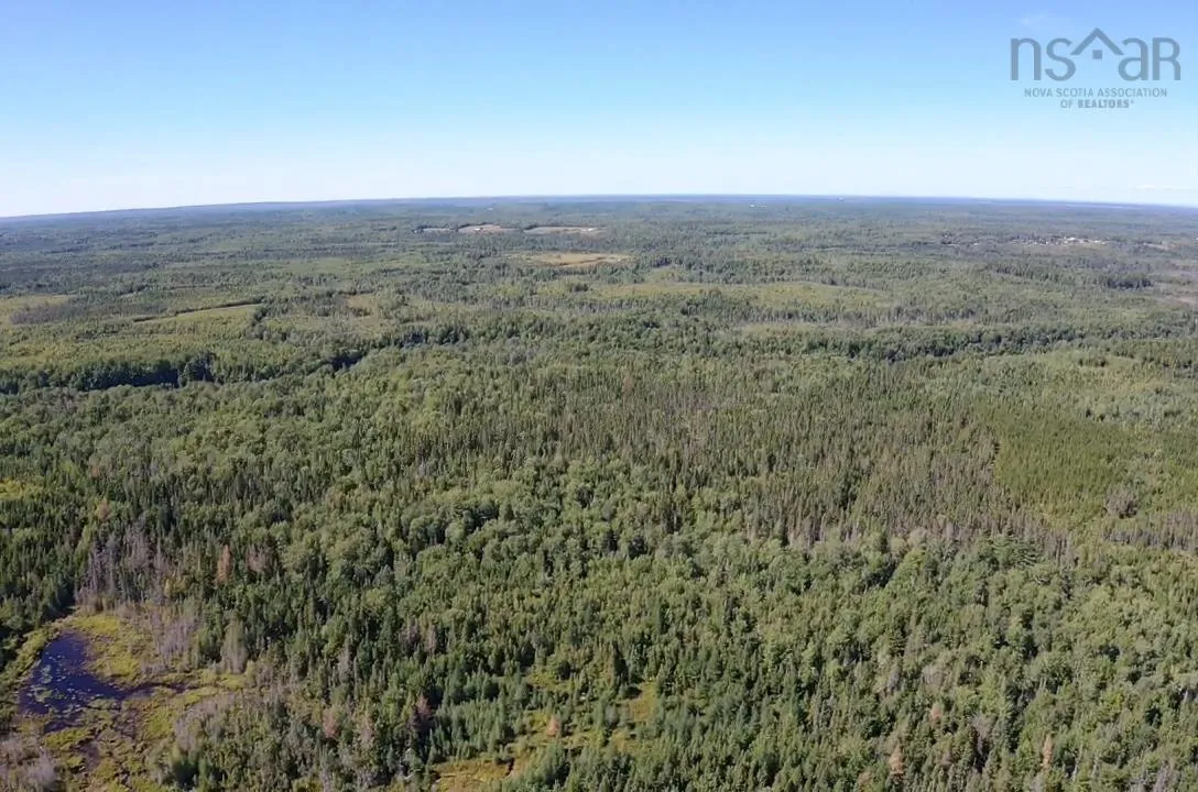 5715 Wentworth Collingwood Road, Lower Greenville, NS B0M 2A0, ,Land,For Sale,Wentworth Collingwood,202520951