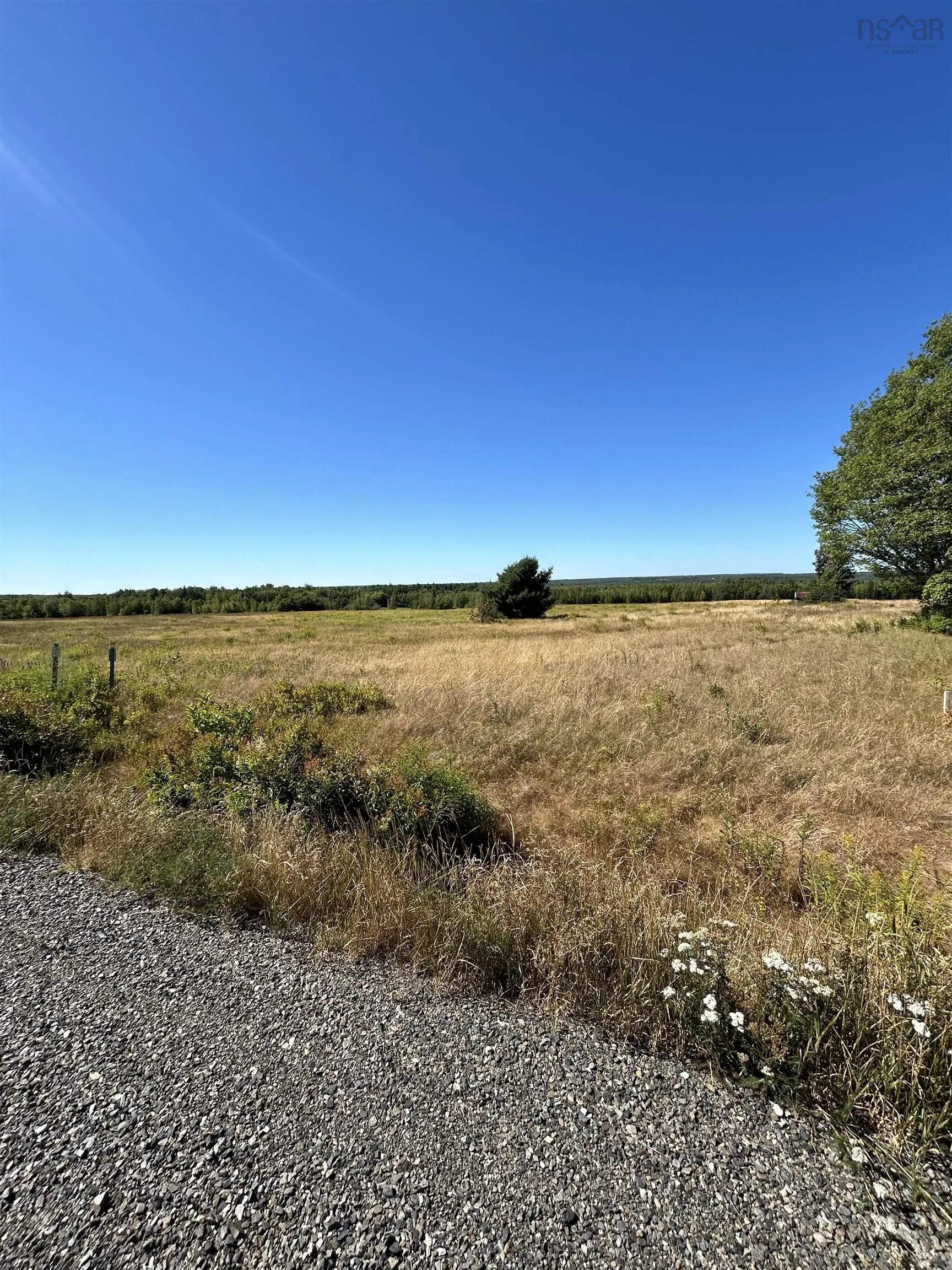 5715 Wentworth Collingwood Road, Lower Greenville, NS B0M 2A0, ,Land,For Sale,Wentworth Collingwood,202520951