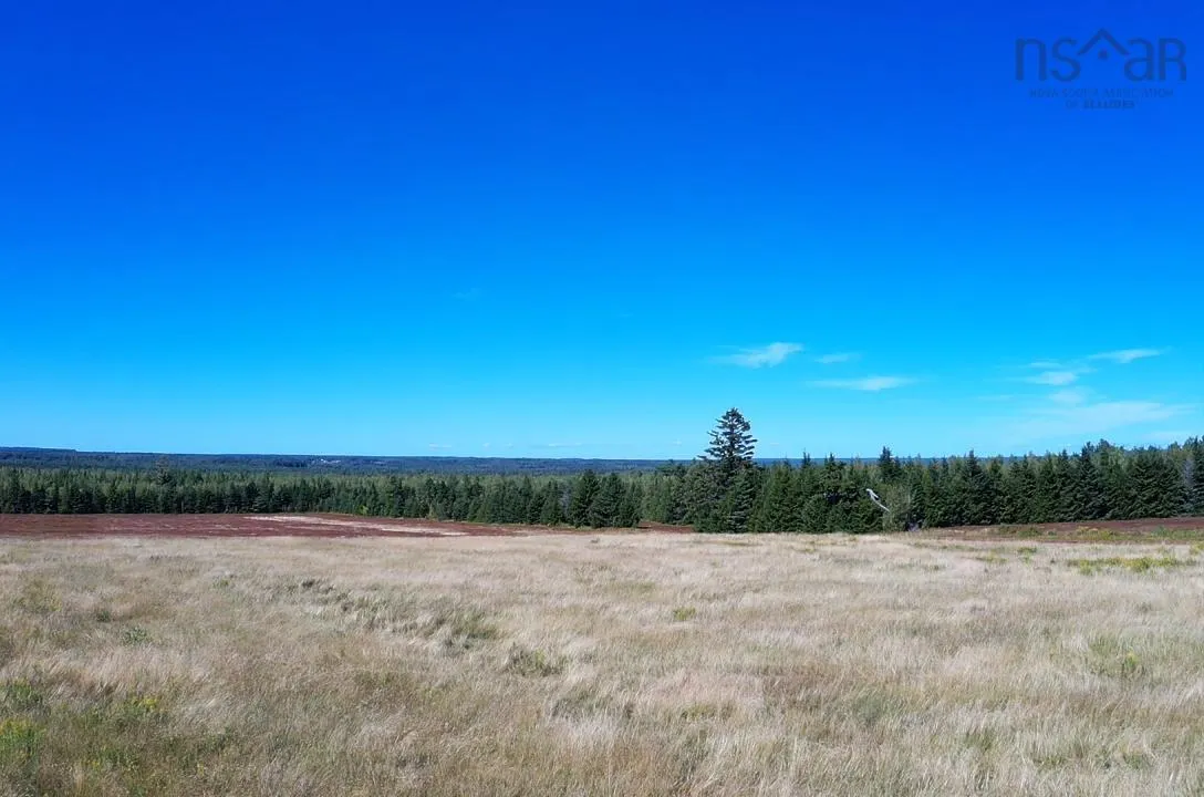 5715 Wentworth Collingwood Road, Lower Greenville, NS B0M 2A0, ,Land,For Sale,Wentworth Collingwood,202520951