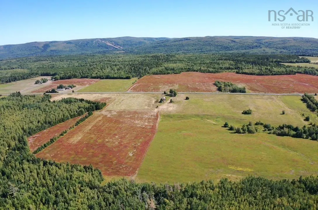 5715 Wentworth Collingwood Road, Lower Greenville, NS B0M 2A0, ,Land,For Sale,Wentworth Collingwood,202520951