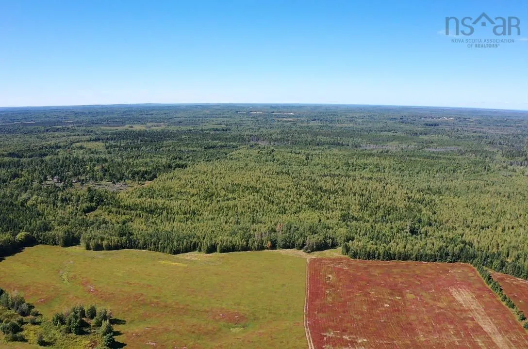 5715 Wentworth Collingwood Road, Lower Greenville, NS B0M 2A0, ,Land,For Sale,Wentworth Collingwood,202520951