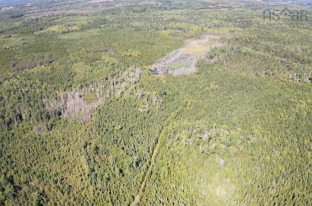 5715 Wentworth Collingwood Road, Lower Greenville, NS B0M 2A0, ,Land,For Sale,Wentworth Collingwood,202520951