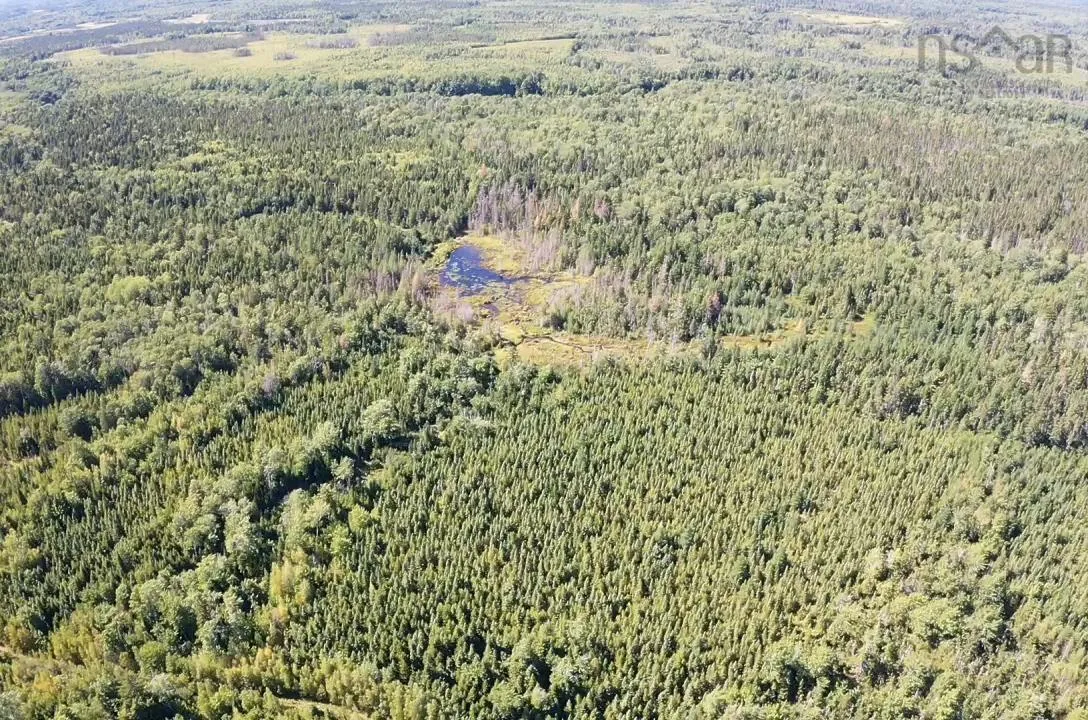 5715 Wentworth Collingwood Road, Lower Greenville, NS B0M 2A0, ,Land,For Sale,Wentworth Collingwood,202520951