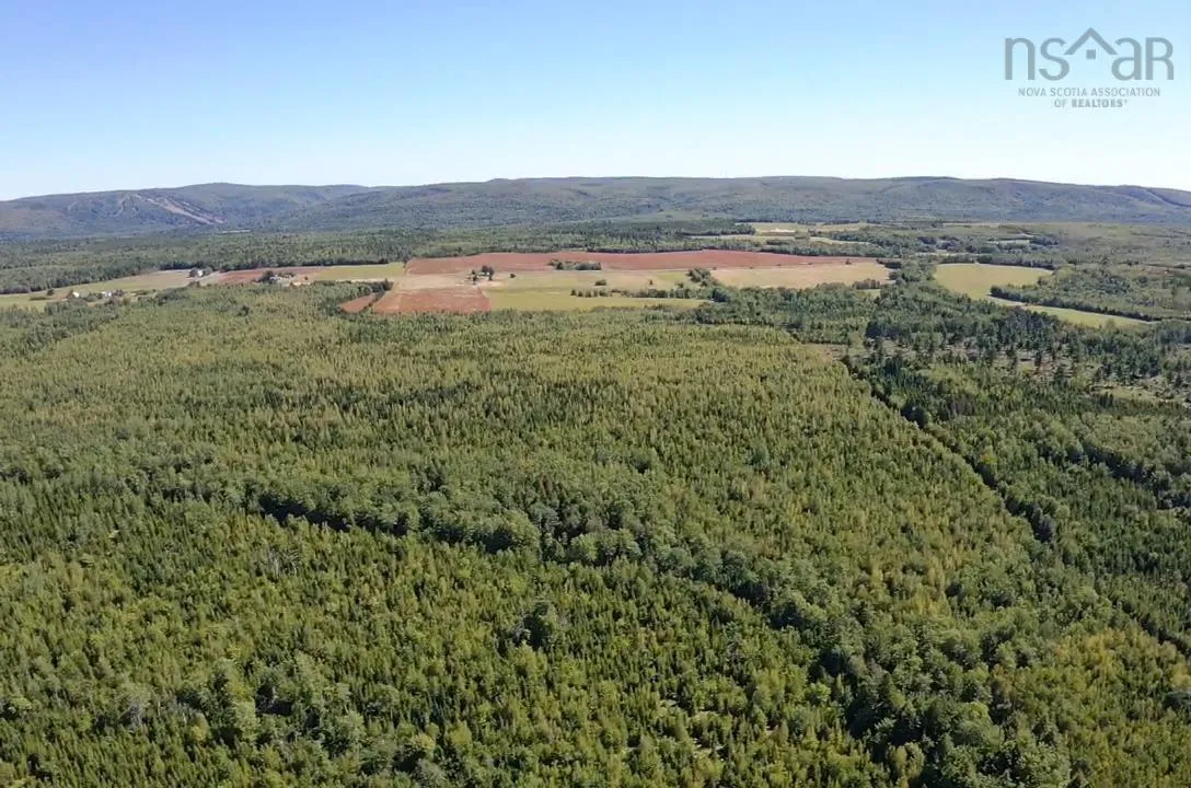 5715 Wentworth Collingwood Road, Lower Greenville, NS B0M 2A0, ,Land,For Sale,Wentworth Collingwood,202520951