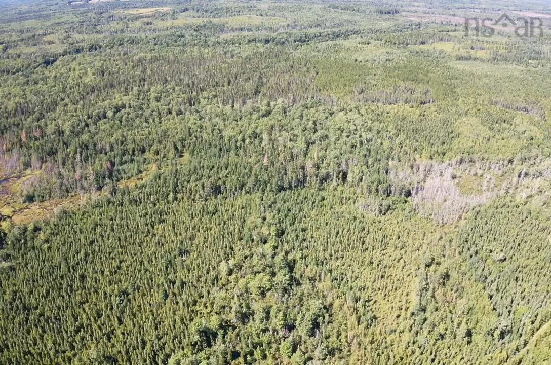 5715 Wentworth Collingwood Road, Lower Greenville, NS B0M 2A0, ,Land,For Sale,Wentworth Collingwood,202520951