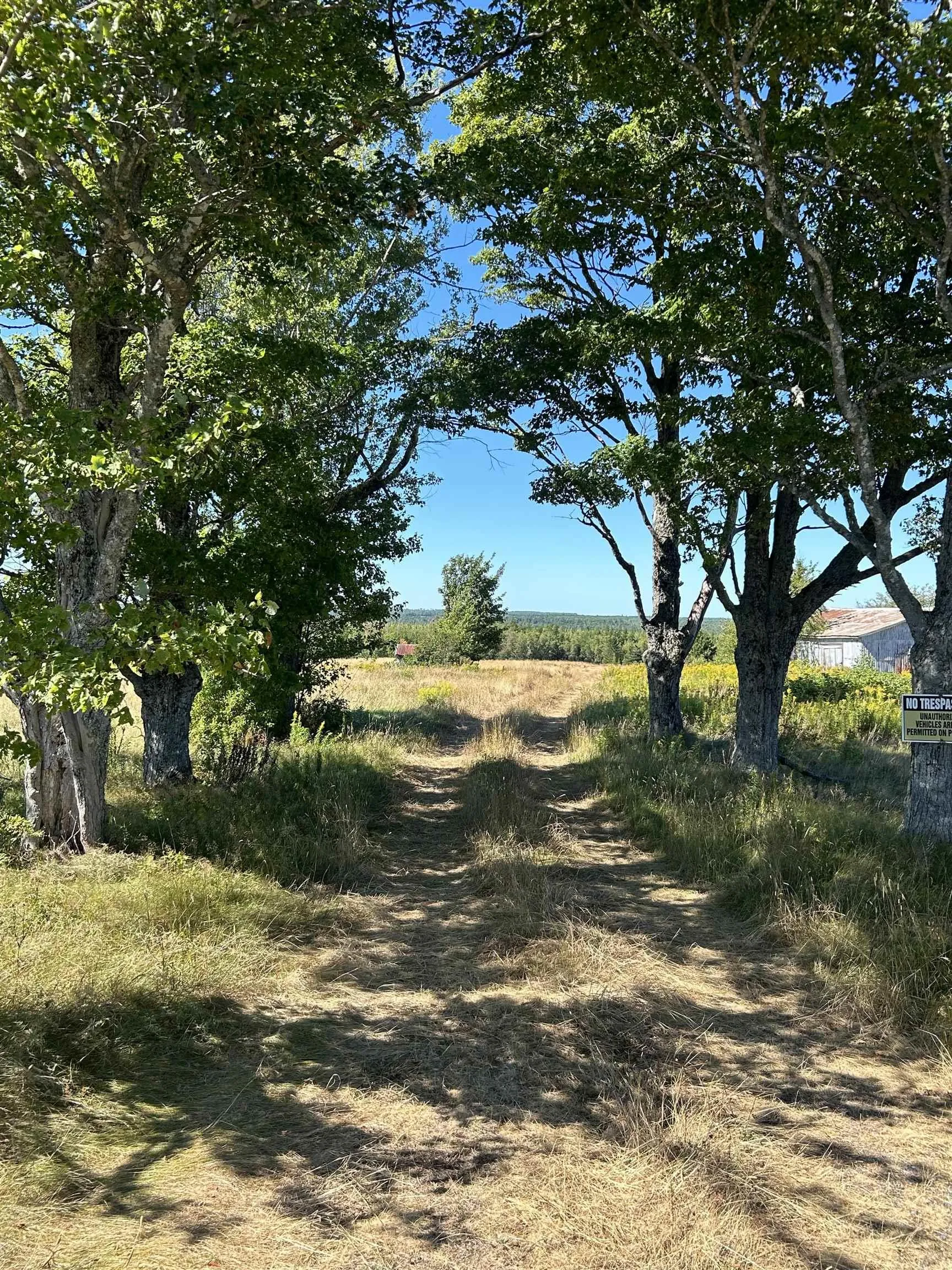 5715 Wentworth Collingwood Road, Lower Greenville, NS B0M 2A0, ,Land,For Sale,Wentworth Collingwood,202520951