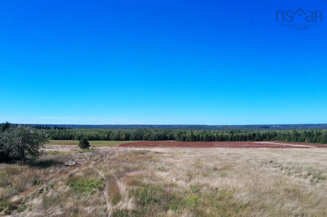 5715 Wentworth Collingwood Road, Lower Greenville, NS B0M 2A0, ,Land,For Sale,Wentworth Collingwood,202520951