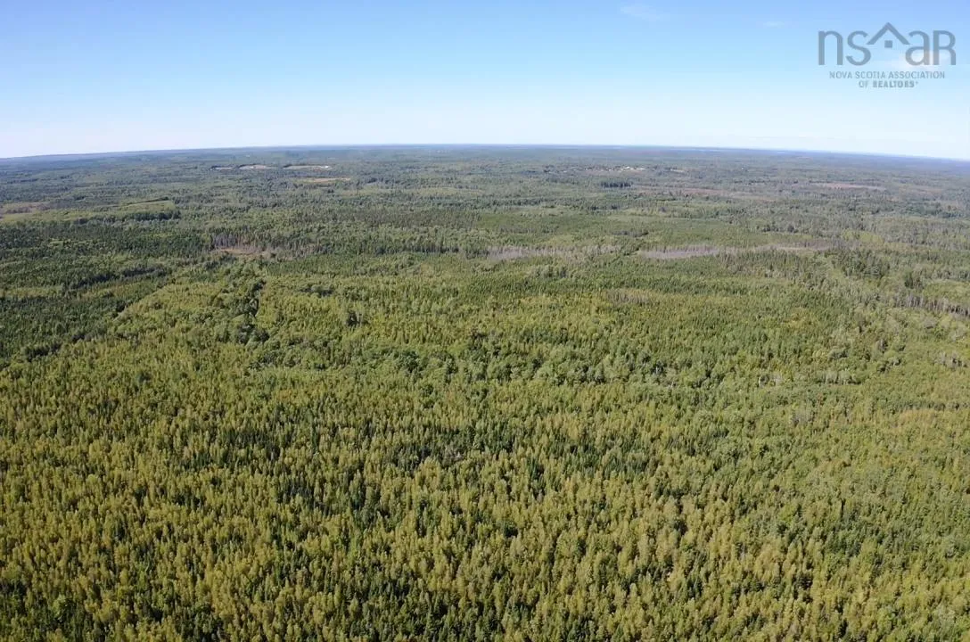 5715 Wentworth Collingwood Road, Lower Greenville, NS B0M 2A0, ,Land,For Sale,Wentworth Collingwood,202520951