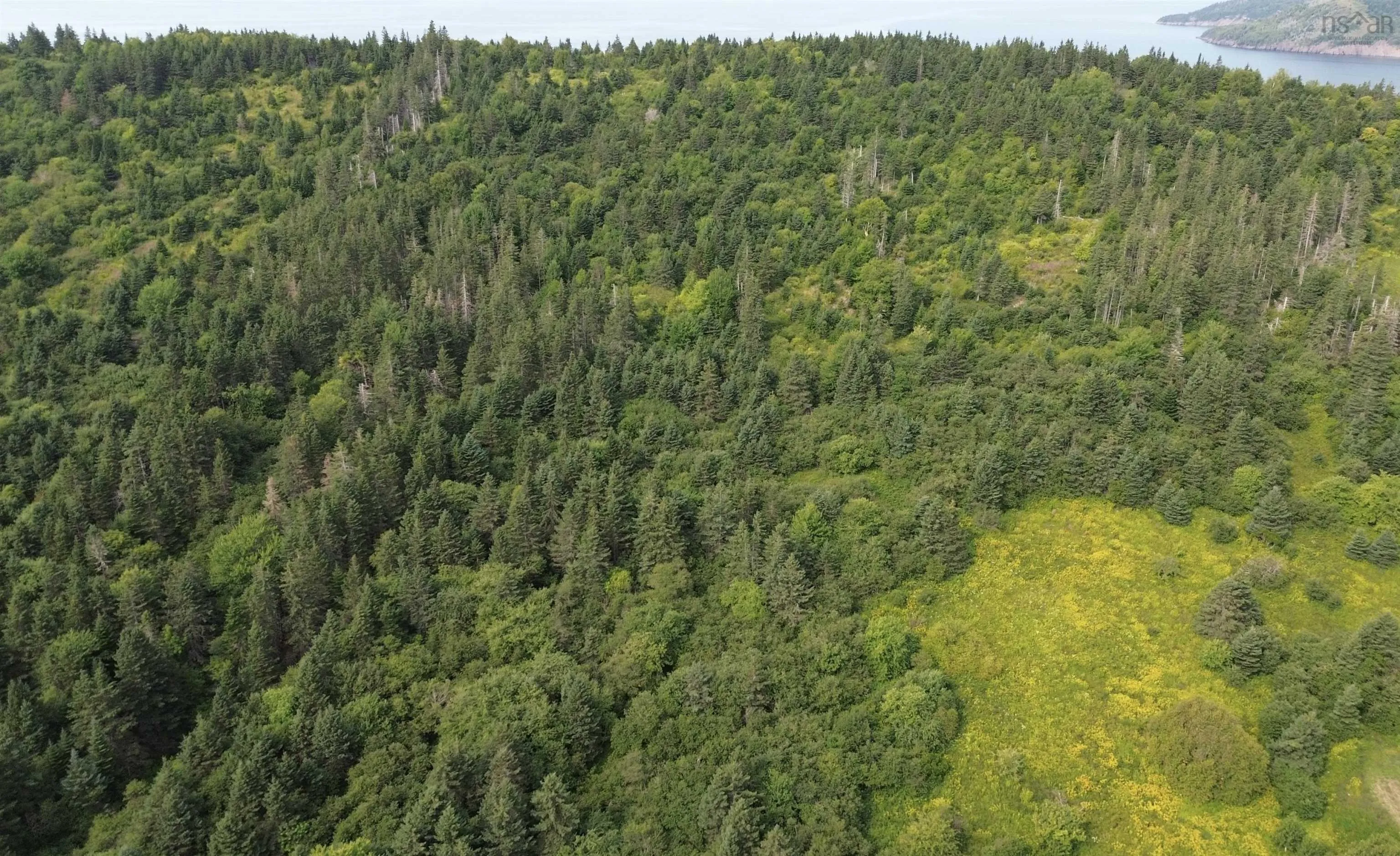 Benacadie West Road, Benacadie West, NS B1T 1H2, ,Land,For Sale,Benacadie West,202520162