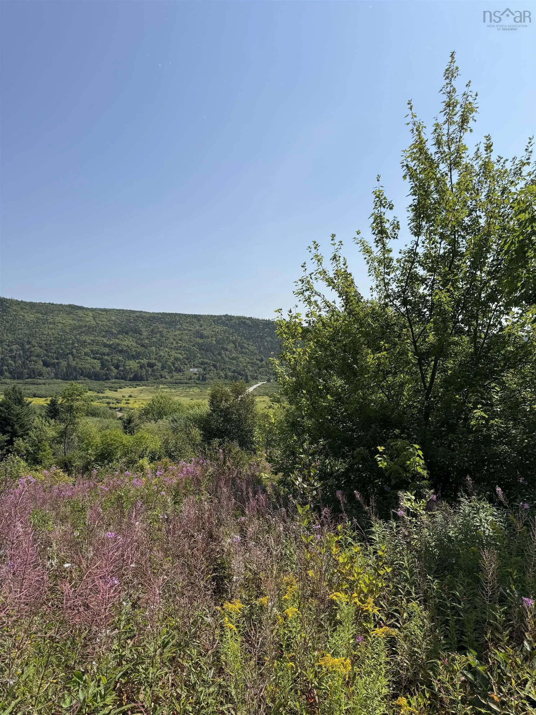 Benacadie West Road, Benacadie West, NS B1T 1H2, ,Land,For Sale,Benacadie West,202520162