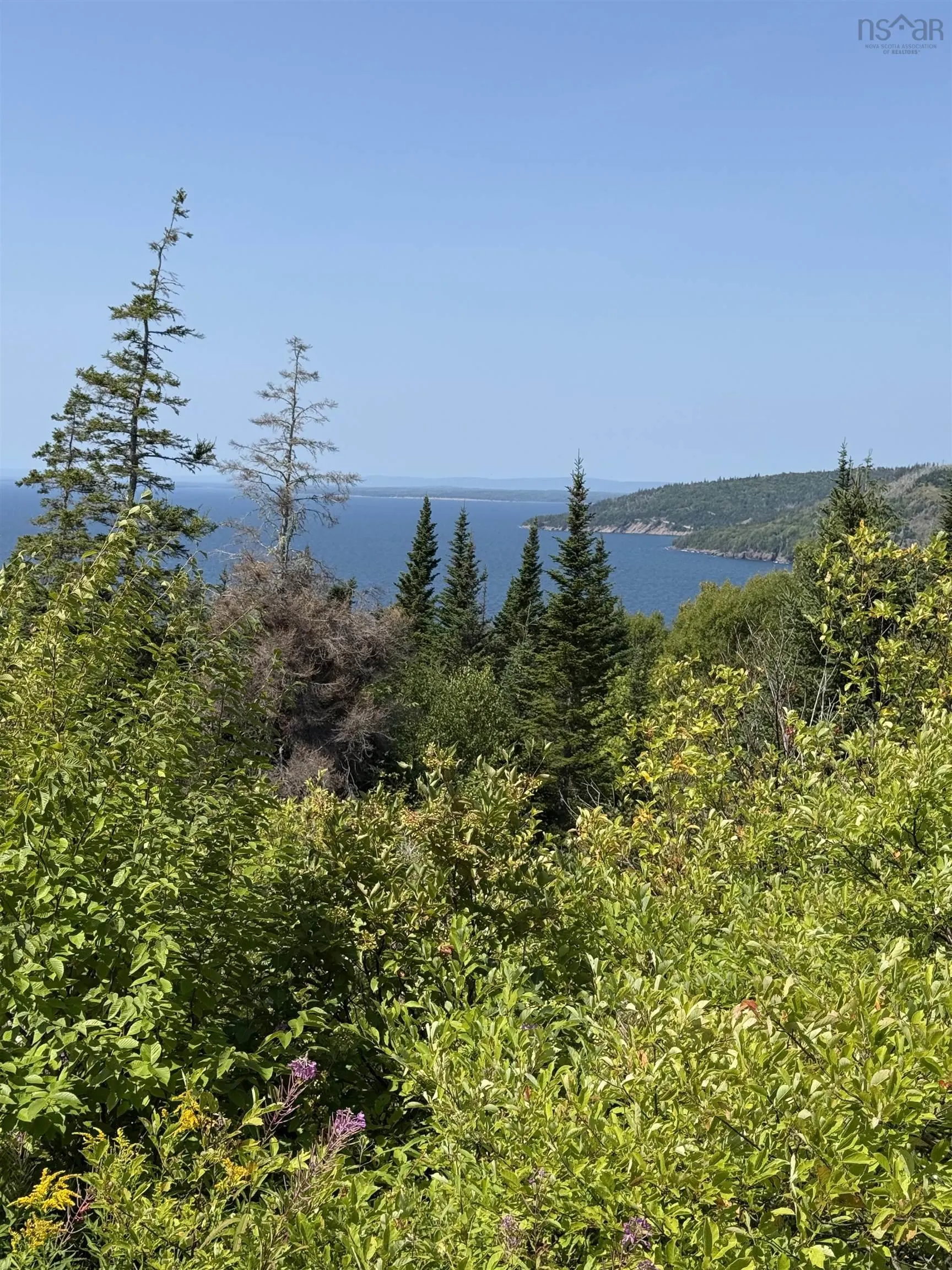 Benacadie West Road, Benacadie West, NS B1T 1H2, ,Land,For Sale,Benacadie West,202520162