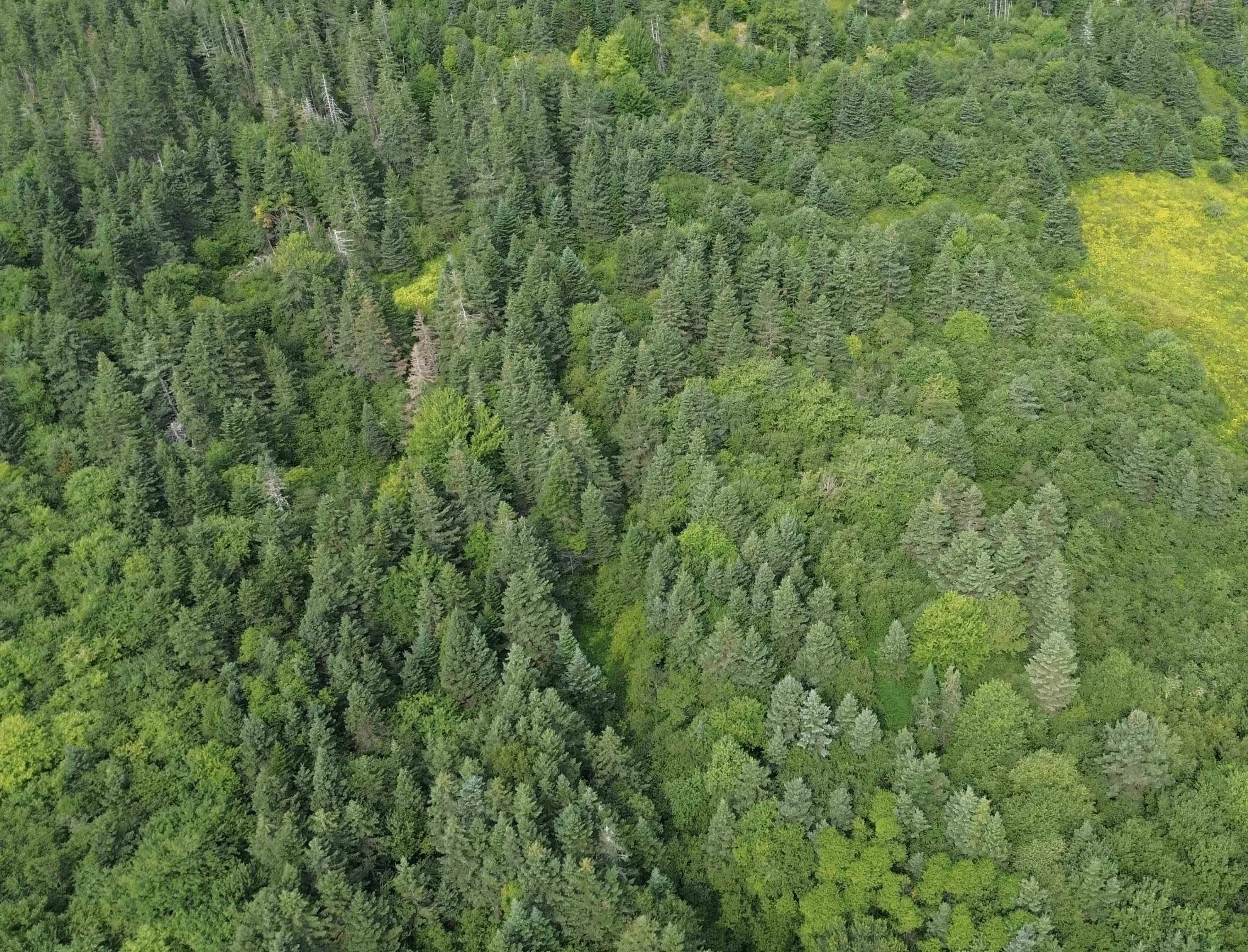 Benacadie West Road, Benacadie West, NS B1T 1H2, ,Land,For Sale,Benacadie West,202520162