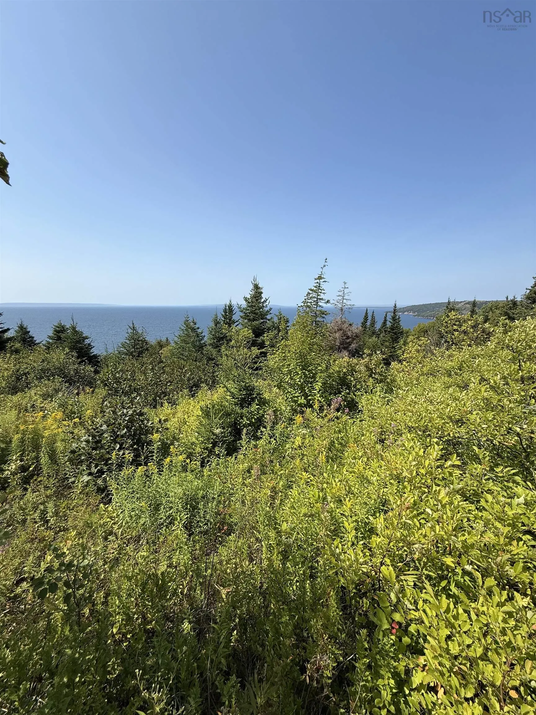 Benacadie West Road, Benacadie West, NS B1T 1H2, ,Land,For Sale,Benacadie West,202520162